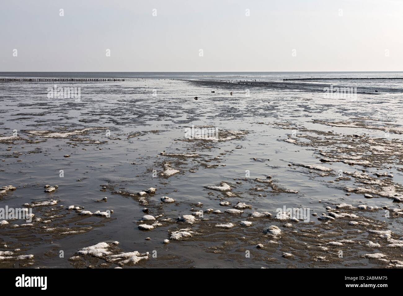 Wattenmeer vor Keitum auf Sylt Stockfoto