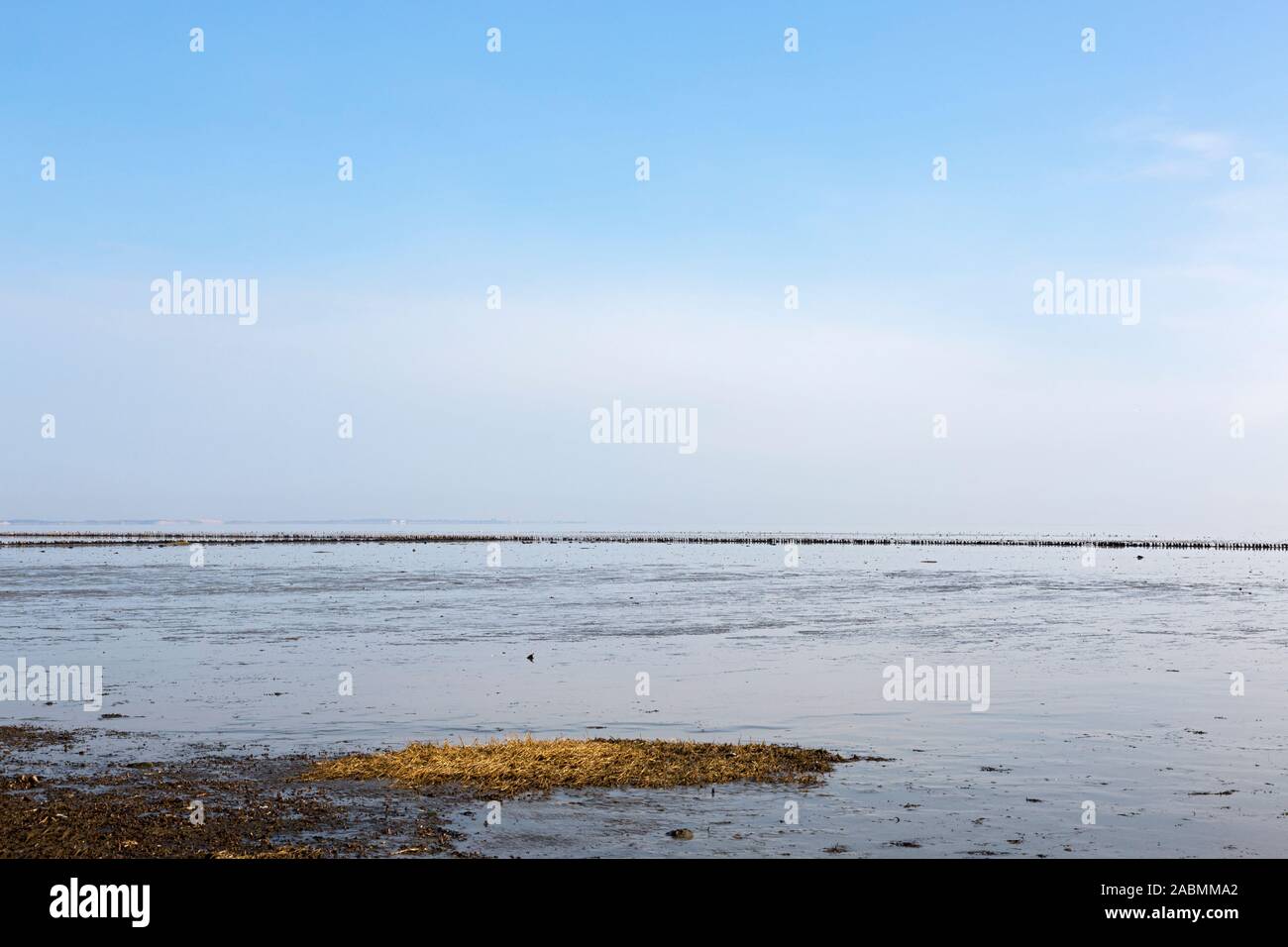 Wattenmeer vor Keitum auf Sylt Stockfoto