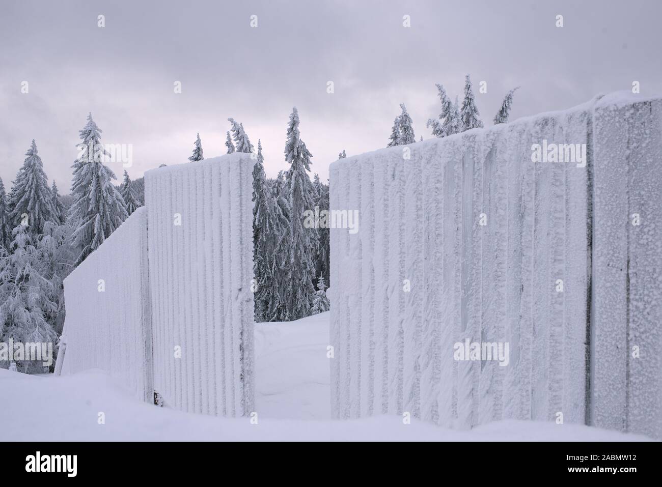 Schöne Aussicht auf die Landschaft im Winter. Frostige Kiefern, Schnee, gefrorener Zaun. Kalte, bewölkte Winterzeit. Farbenfroher weihnachtsuntergang Stockfoto