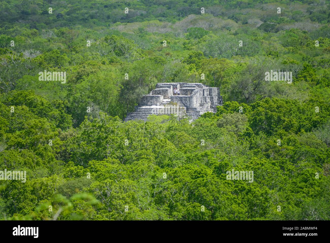 Pyramide der Nordgruppe, Calakmul, Campeche, Mexiko Stockfoto