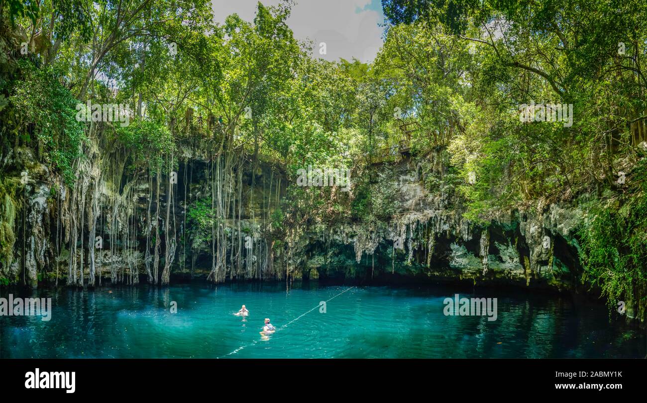 Cenote Tinum, Yucatan, Mexiko Stockfoto