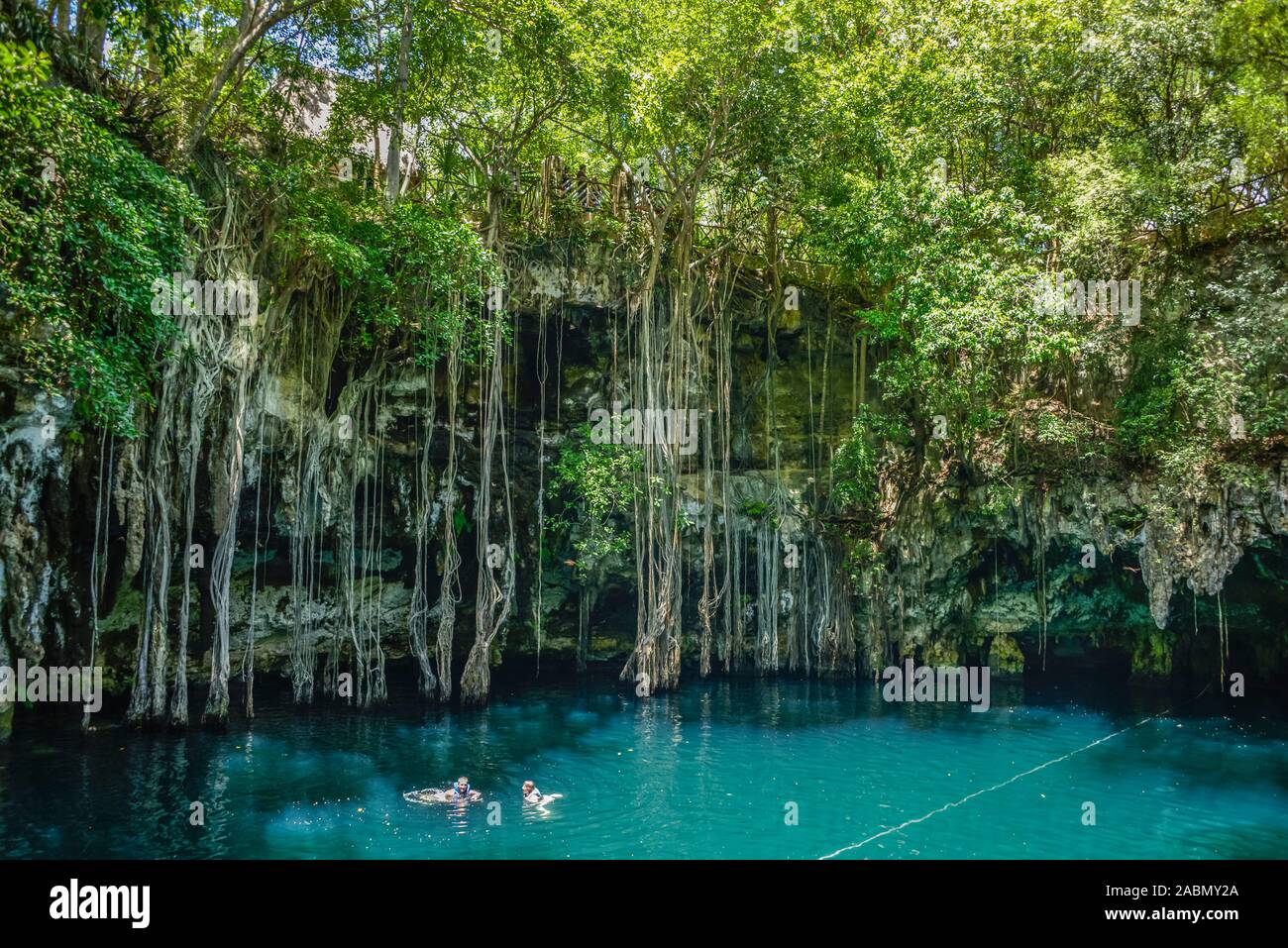 Cenote Tinum, Yucatan, Mexiko Stockfoto