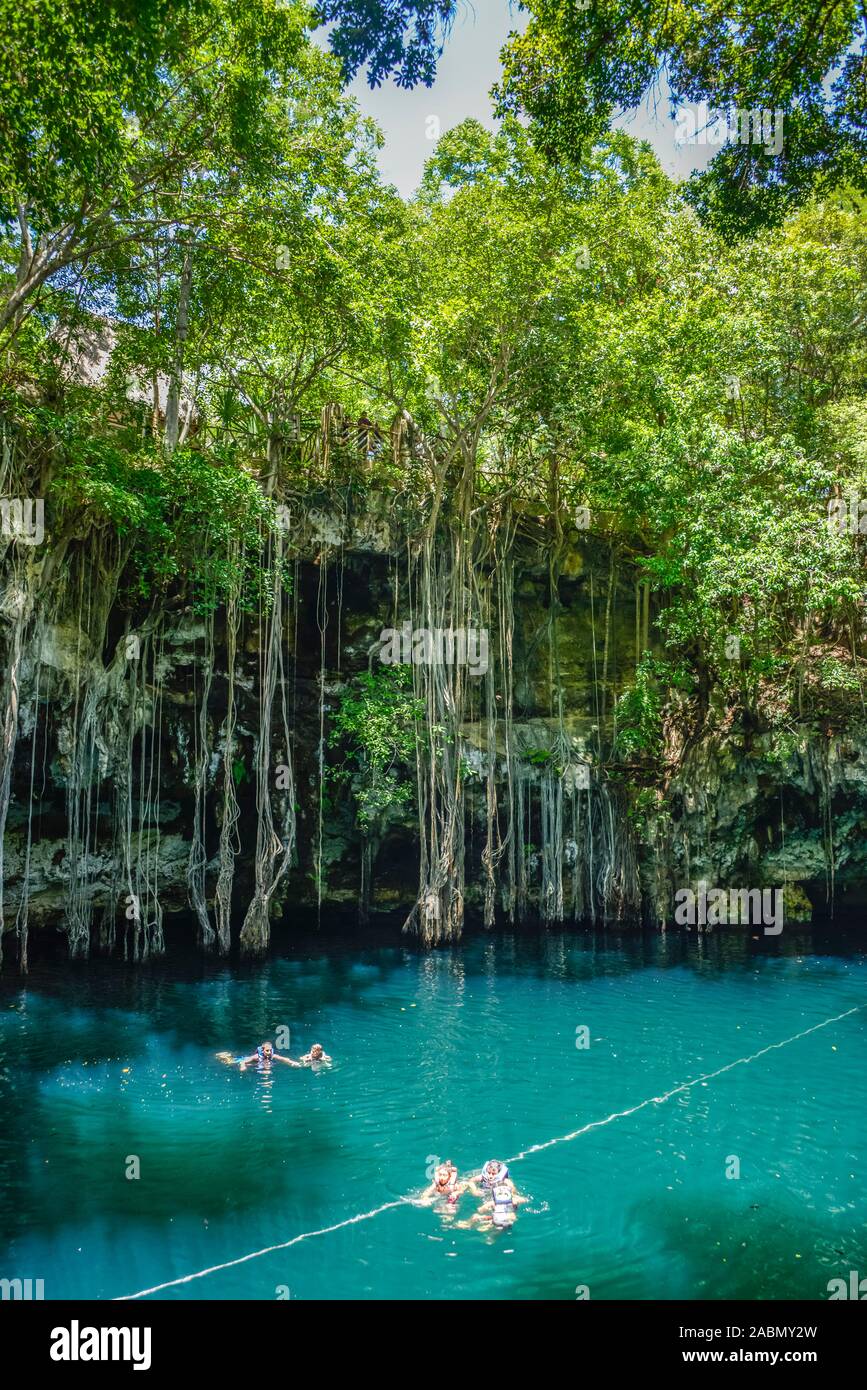 Cenote Tinum, Yucatan, Mexiko Stockfoto