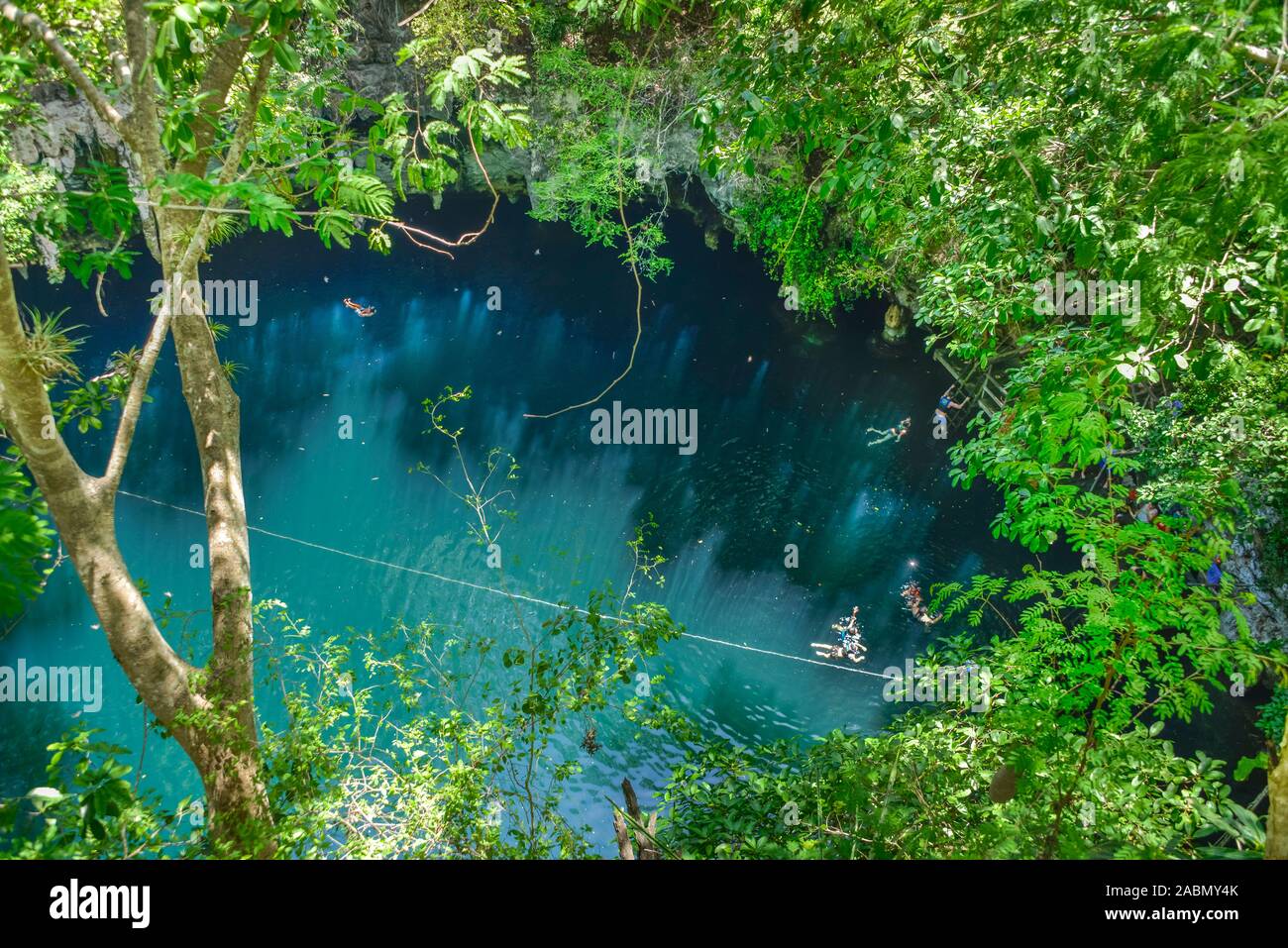 Cenote Tinum, Yucatan, Mexiko Stockfoto