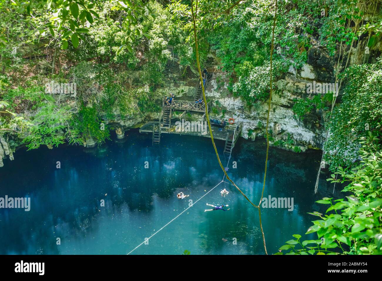 Cenote Tinum, Yucatan, Mexiko Stockfoto