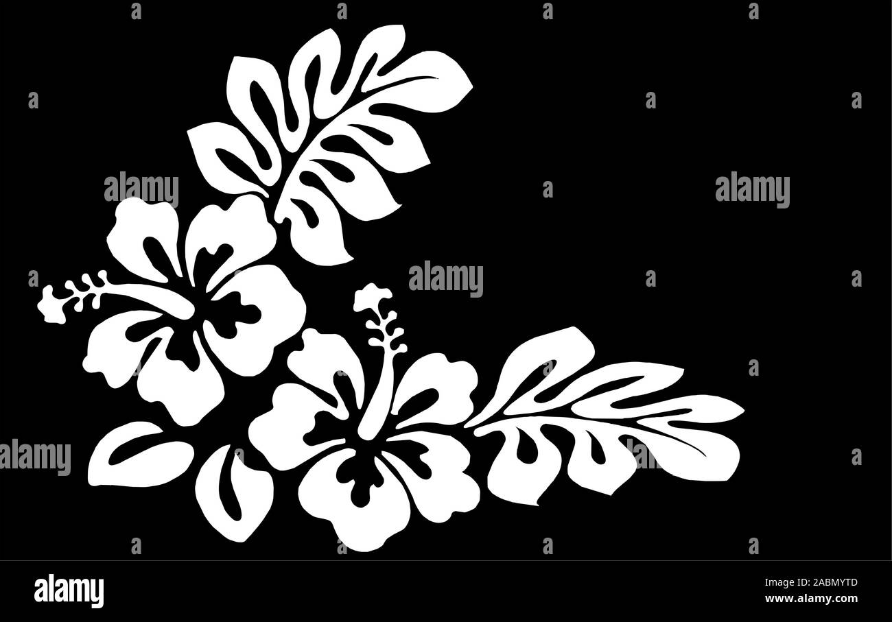 Vector Flower Designs und Hintergrund und Grenzen Stockfoto