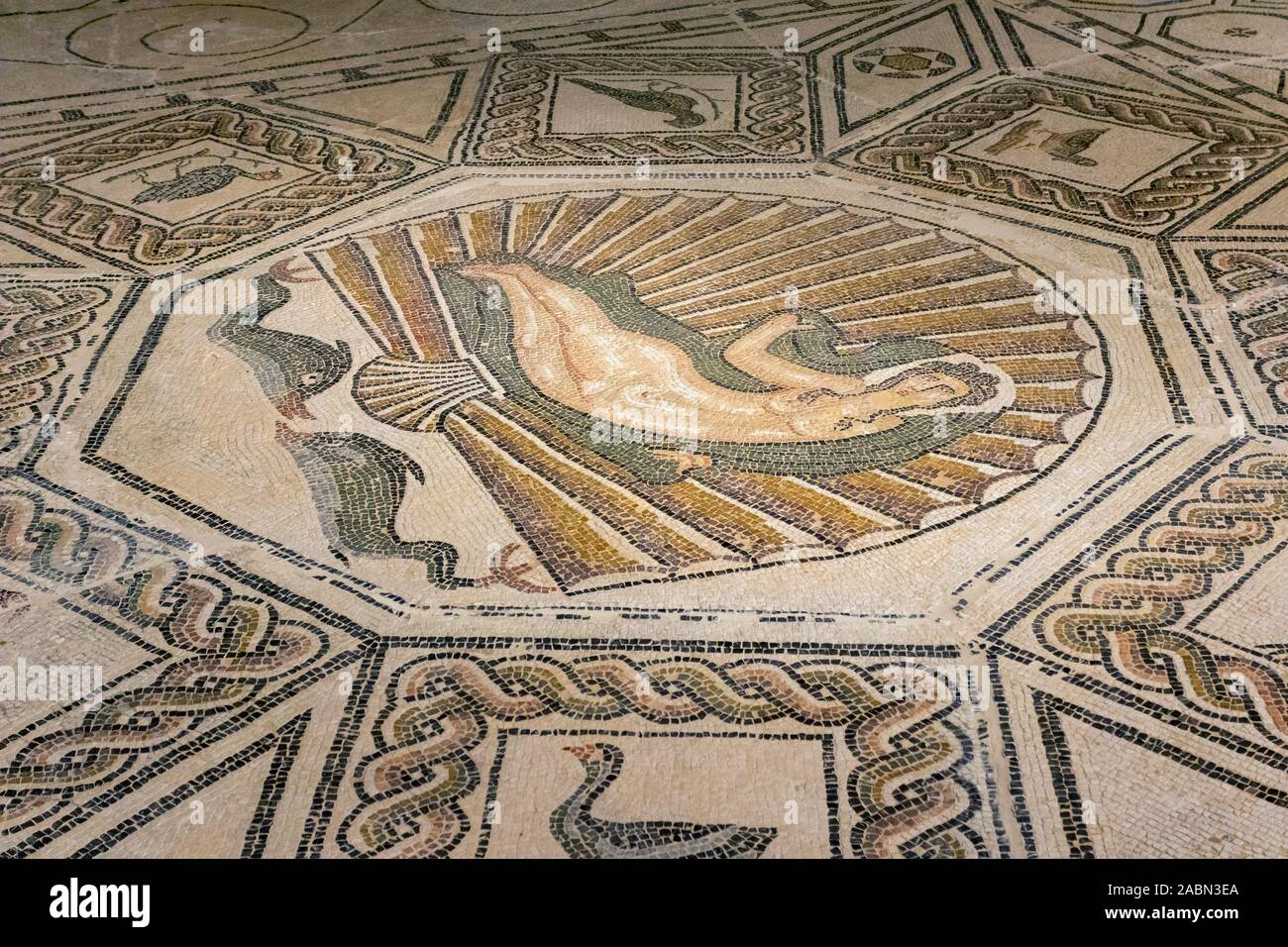 Die Geburt der Venus Mosaik. Roman. Ende des 2.Jahrhundert. In der Malaga Museum im Palacio de la Aduana, Malaga, Costa del Sol, Malaga Provinc ausgestellt Stockfoto