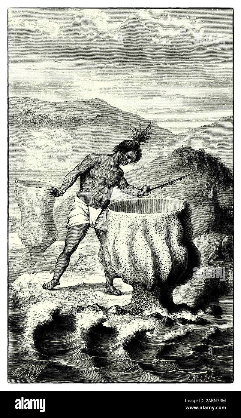 Cliona Patera, die gemeinhin als Neptun's Cup schwamm, ist eine Pflanzenart in der Familie demosponge Clionaidae. Unter den größeren bekannten Schwämme mit bis zu einem Meter in der Höhe und in der Breite, der gemeinsame Name des Neptun cup bezieht sich auf die charakteristische Wein Glas Form und dem Römischen Gott des Meeres. Die Art wurde dachte ausgestorben zu sein, seit Anfang 1900 aufgrund der Ernte, sondern lebende Exemplare wurden im Jahr 2011 vor der Küste von Singapur und Thailand entdeckt. Stockfoto