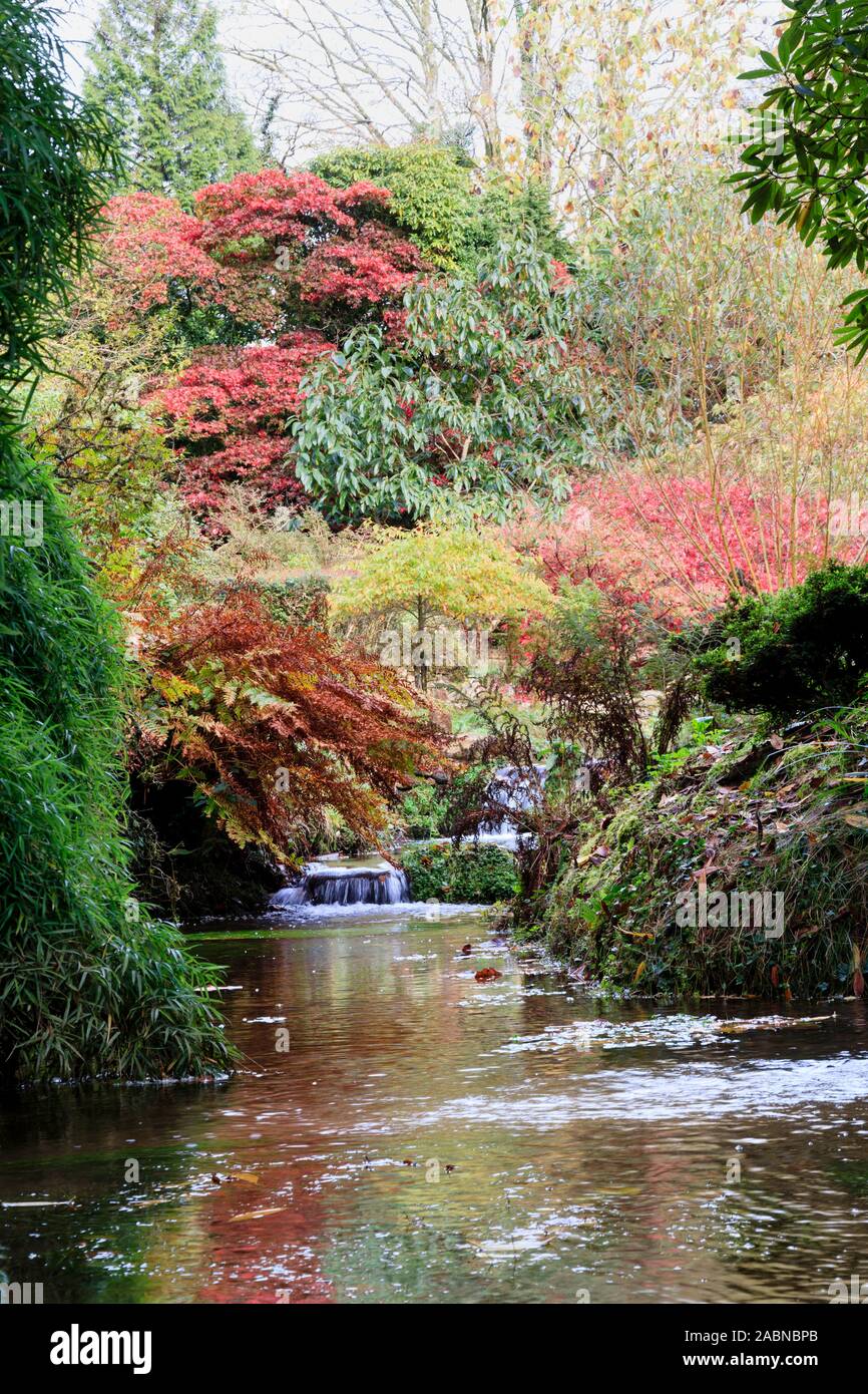 Herbst Farbe im Garten überragt das Addenbrook Lukesland Stockfoto