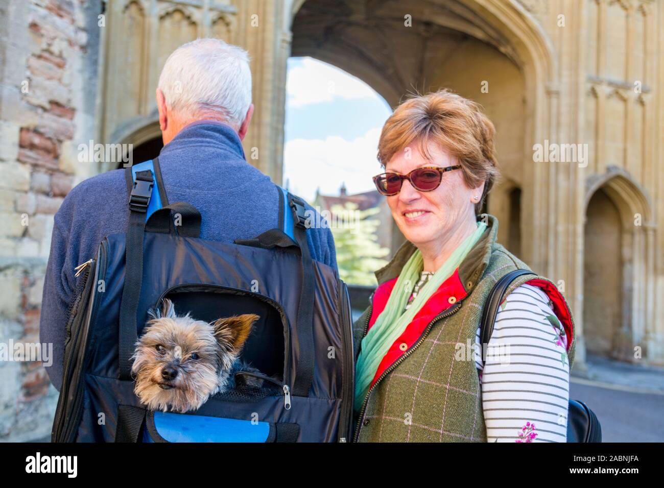 Yorkshire Terrier Hund 'Dave' reist in seine Besitzer spezielle Rucksack Sightseeing zu gehen. Hier besucht er Wells, Somerset, England, Großbritannien Stockfoto