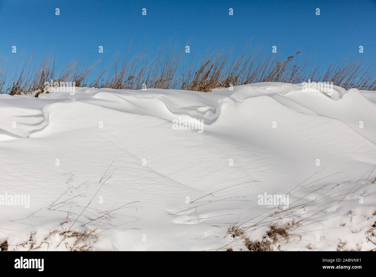 Nahaufnahme von schneeverwehungen erzeugen Wellen der Schnee im Graben und hohes Gras. Blauen Himmel im Hintergrund Stockfoto