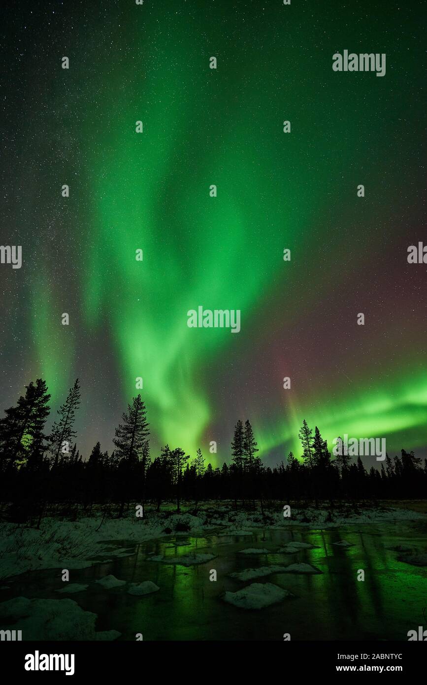 Nordlicht, Schwedisch-Lappland, Skandinavien Stockfoto