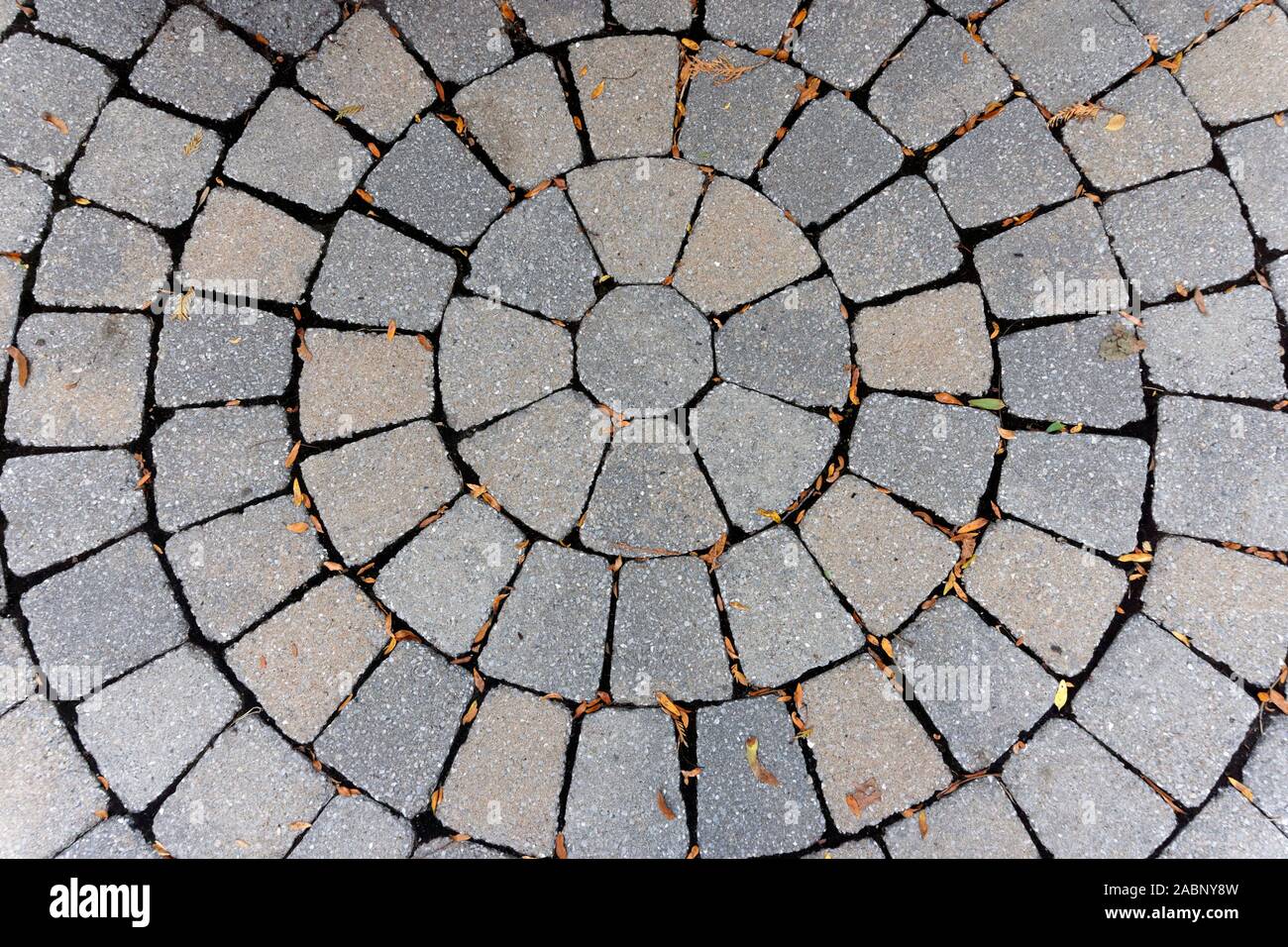 Nahaufnahme von geschliffenen Pflastersteinen, die in einem kreisförmigen Kreismuster auf einem Fußweg angeordnet sind Stockfoto