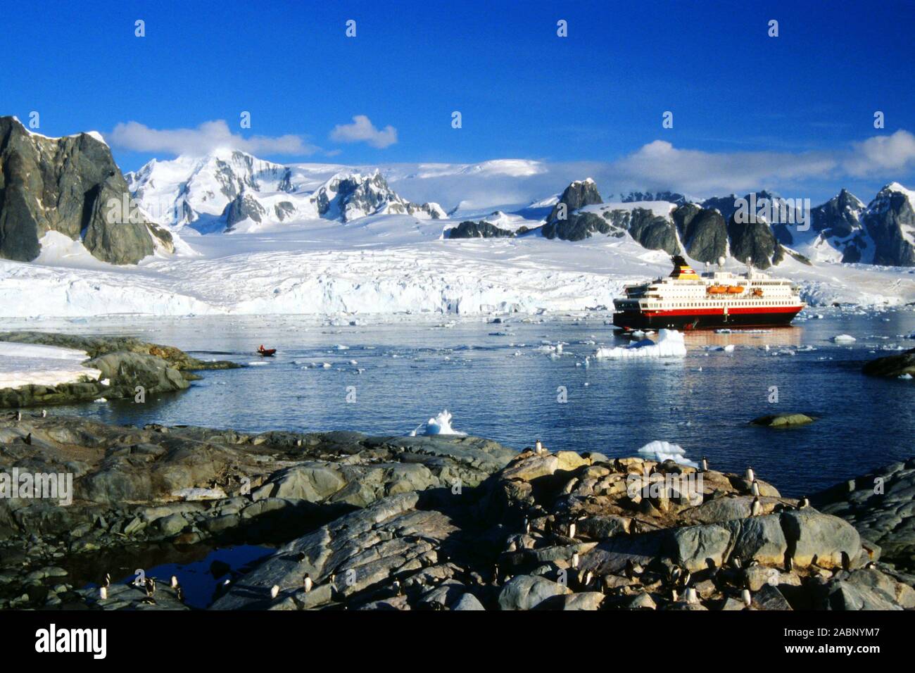 Antarktis - Südgeorgien - Archäologie Stockfoto