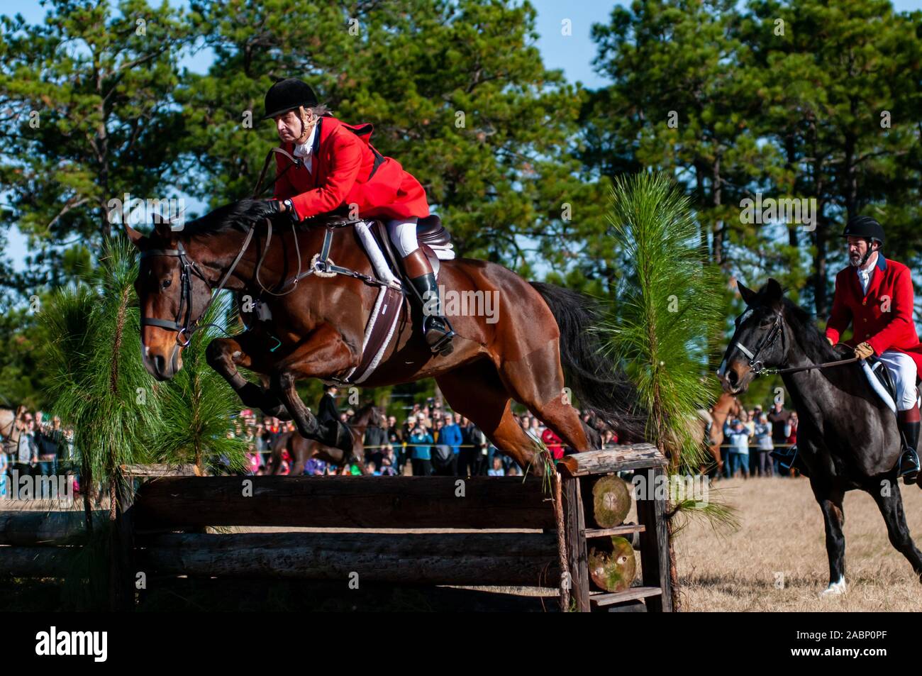 Southern Pines, North Carolina, USA. 27 Nov, 2019. November 28, 2019 - Southern Pines, North Carolina, USA - Reiter und ihre Pferde springen ein Zaun während der 105 jährlichen Segnung der Jagdhunde, Buchan Feld. Durch Die Moore County Hounds Jagd Verein bewirtete, das Ereignis ist ein Thanksgiving Tradition in der Moore County. Reiter in traditionellen formellen Jagd Kleidung für eine der ältesten Jagden in der Nation. Die Penn-Mary Del Jagdhunde sind im Privatbesitz, stammt aus dem Jahr 1914. Credit Bild: © Timothy L. Hale über ZUMA Draht) Credit: Timothy L. Hale/ZUMA Draht/Alamy leben Nachrichten Stockfoto