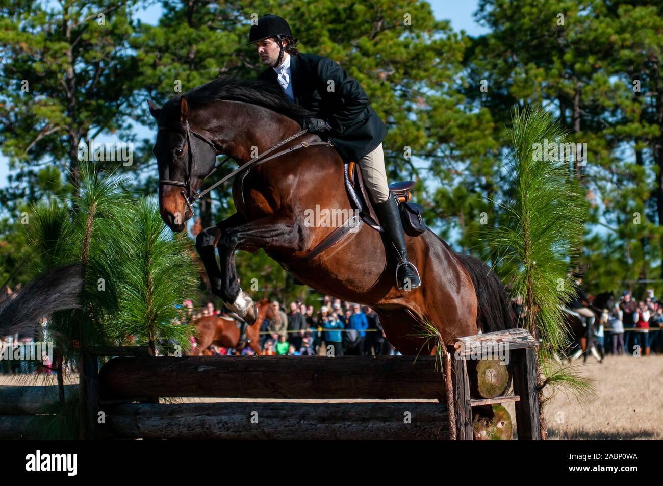 Southern Pines, North Carolina, USA. 27 Nov, 2019. November 28, 2019 - Southern Pines, North Carolina, USA - Reiter und ihre Pferde springen ein Zaun während der 105 jährlichen Segnung der Jagdhunde, Buchan Feld. Durch Die Moore County Hounds Jagd Verein bewirtete, das Ereignis ist ein Thanksgiving Tradition in der Moore County. Reiter in traditionellen formellen Jagd Kleidung für eine der ältesten Jagden in der Nation. Die Penn-Mary Del Jagdhunde sind im Privatbesitz, stammt aus dem Jahr 1914. Credit Bild: © Timothy L. Hale über ZUMA Draht) Credit: Timothy L. Hale/ZUMA Draht/Alamy leben Nachrichten Stockfoto