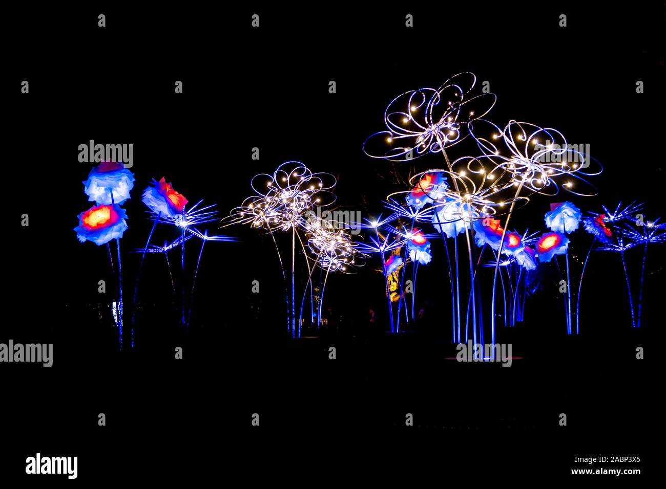LONDON, ENGLAND, Großbritannien - 04 Januar 2019: Weihnachtsbeleuchtung Anzeige in der Nacht in Kew Royal Botanic Gardens, London, UK Stockfoto