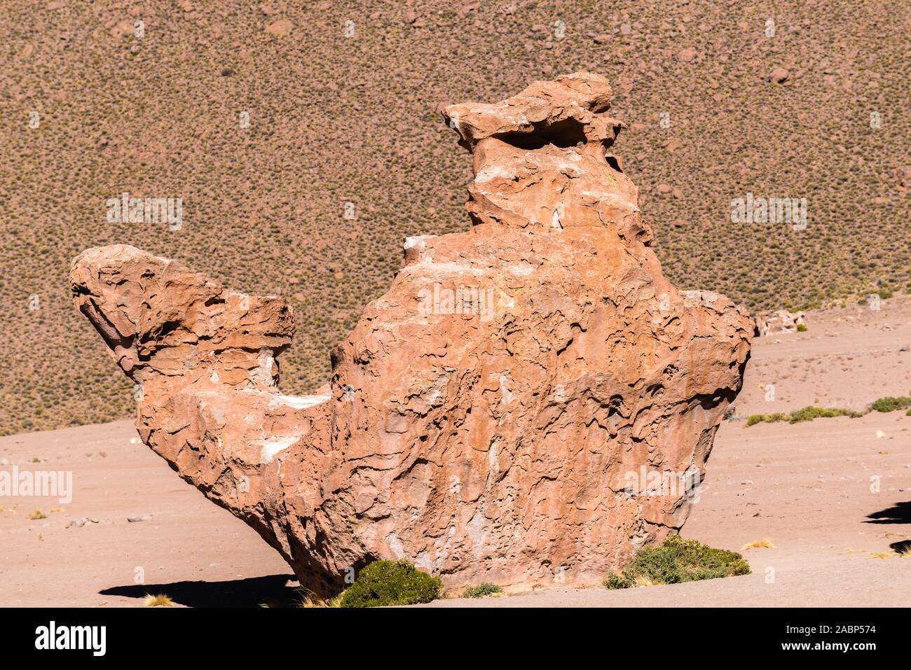 Valles de Rocas, Piedras Rocas, Camello de Piedra, südlichen Altiplano, im Südwesten von Bolivien, Lateinamerika Stockfoto