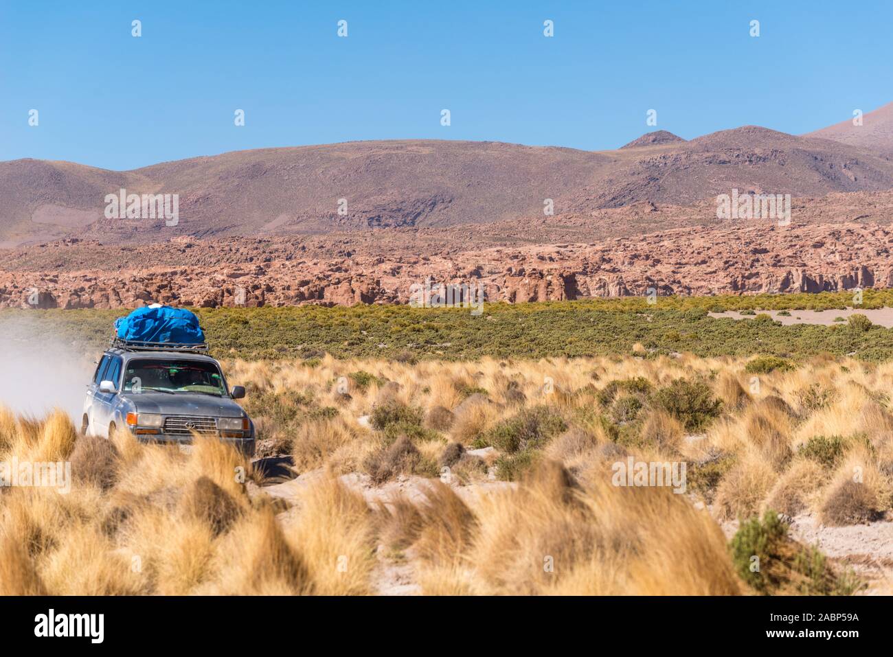 Geführte Tour in Valles de Rocas, Piedras Rocas, Italia Perdida, südlichen Altiplano, im Südwesten von Bolivien, Lateinamerika Stockfoto