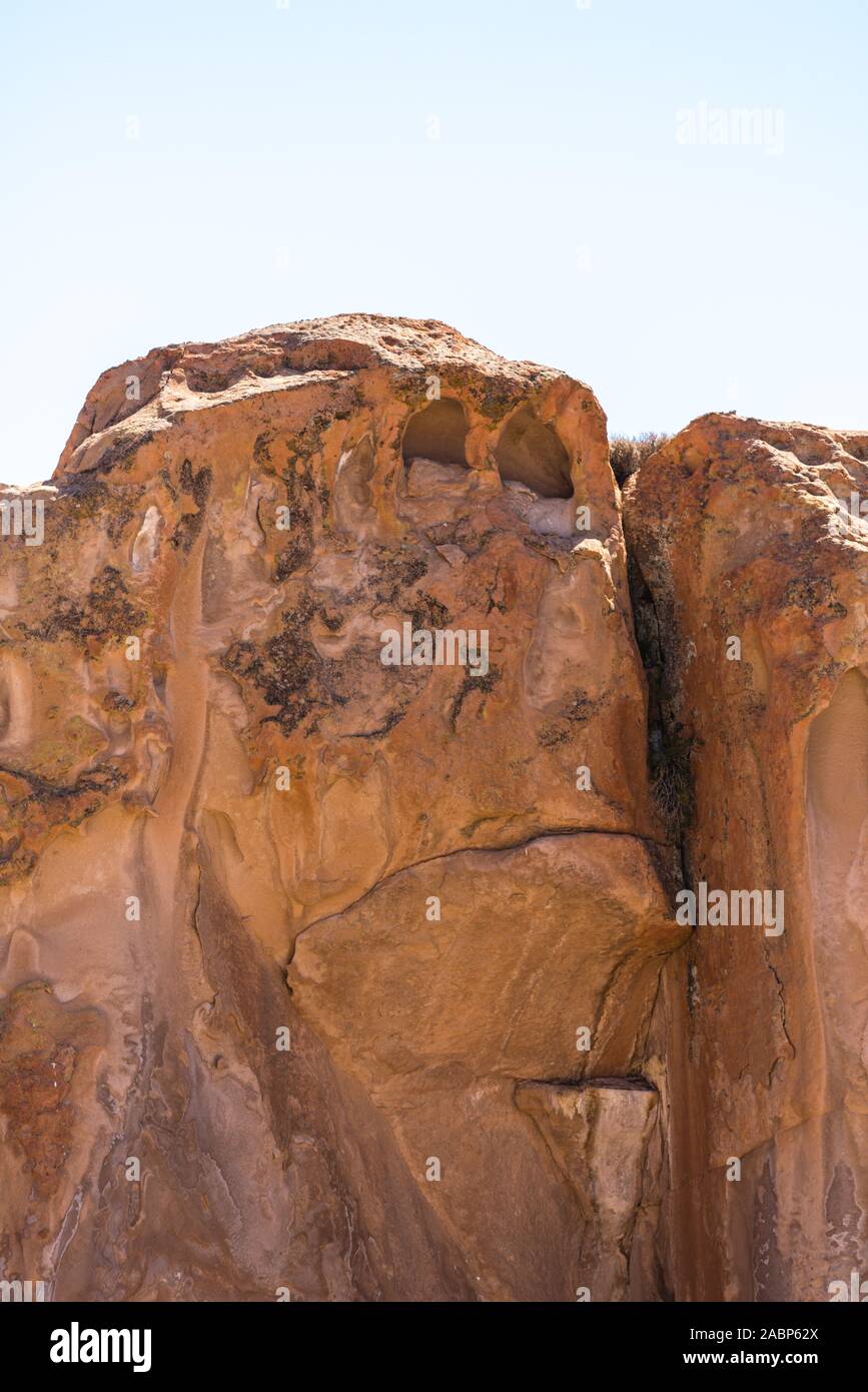 Affengesicht, Valle de las Rocas, Laguna Negra, südlichen Altiplano, in Bolivien, in Lateinamerika Stockfoto