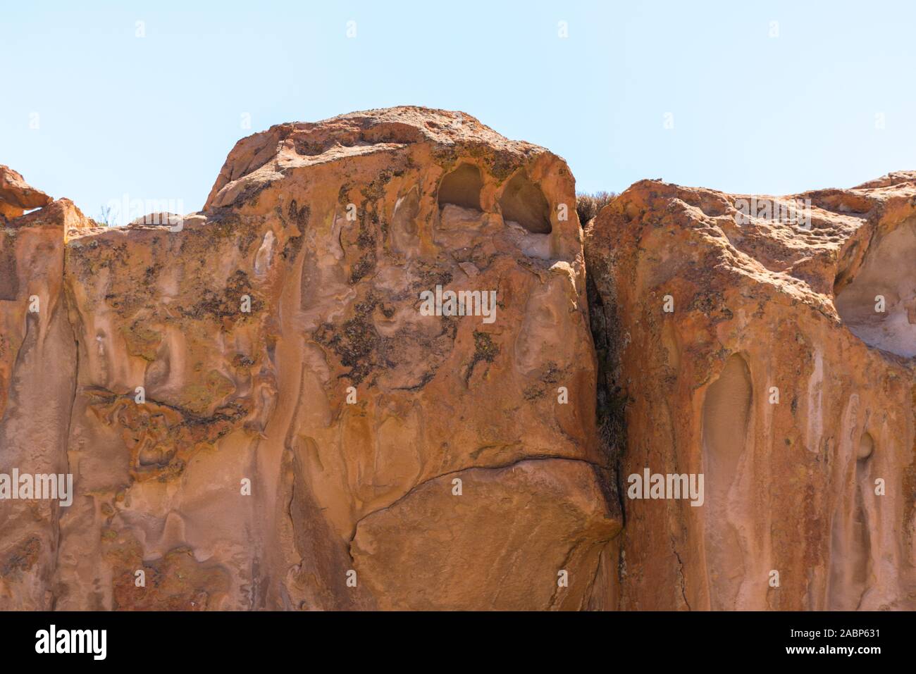 Affengesicht, Valle de las Rocas, Laguna Negra, südlichen Altiplano, in Bolivien, in Lateinamerika Stockfoto