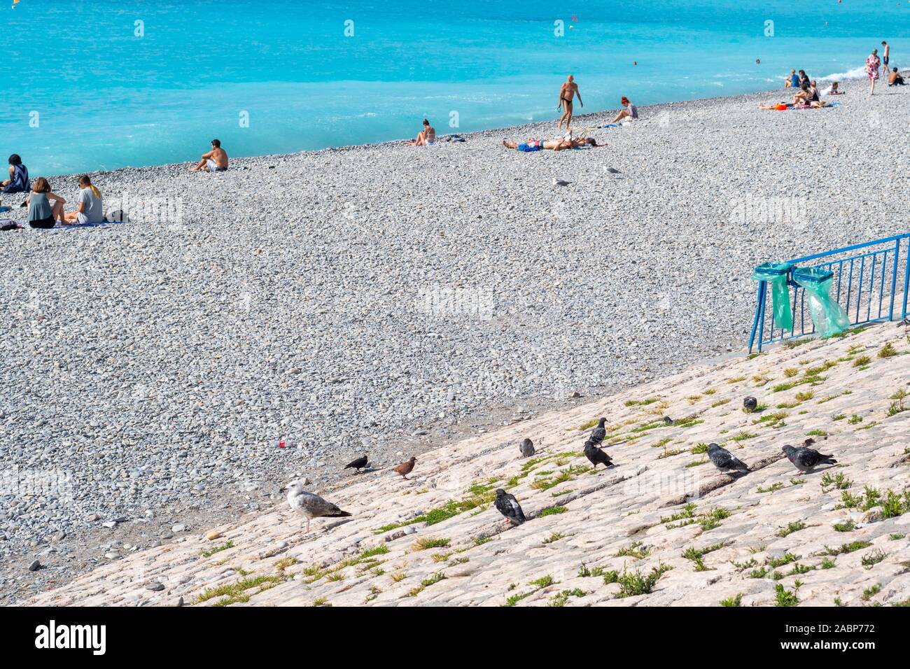 Tauben und Möwen Zander auf eine Stützmauer entlang der felsigen Strand der Bucht der Engel als Touristen genießen das türkisfarbene Wasser des Mittelmeers Stockfoto