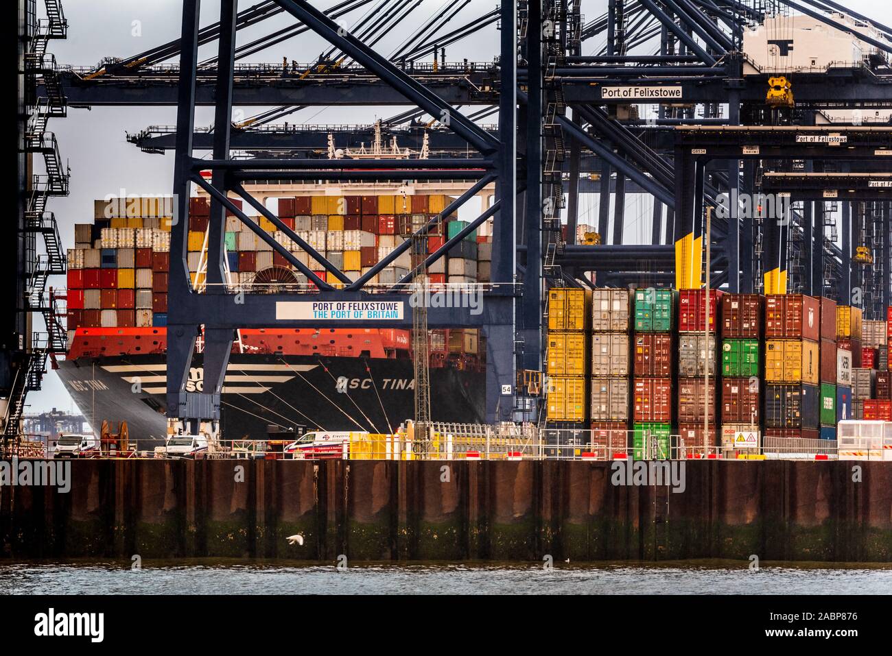 Britische Docks - Warenhandel UK-Container entladen werden vom MSC Tina Containerschiff in Felixstowe Containerhafen Stockfoto