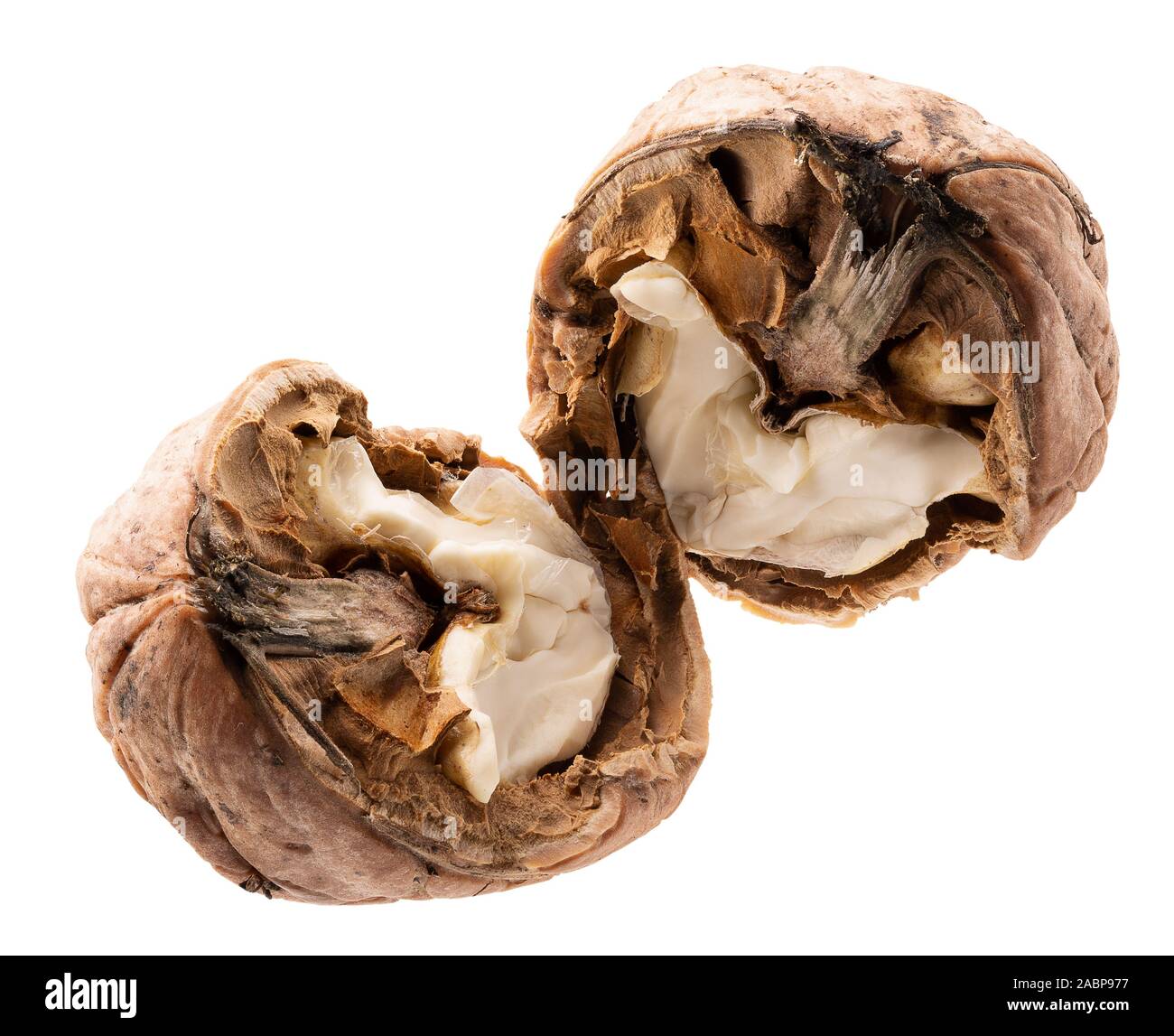 . Gebrochen Walnüsse auf einem weißen Hintergrund. Stockfoto