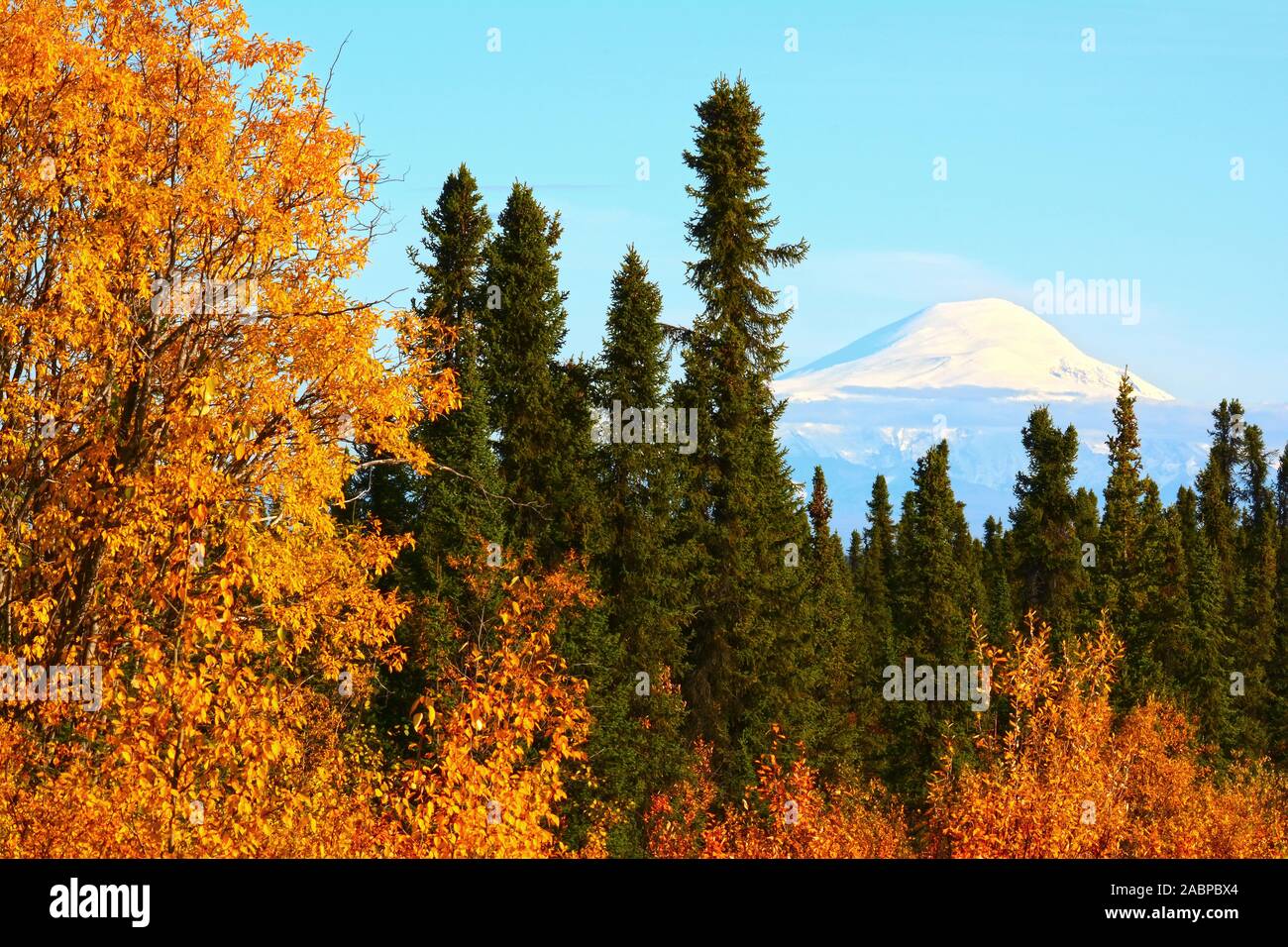 Klare Herbst Tag in Alaska, USA Stockfoto