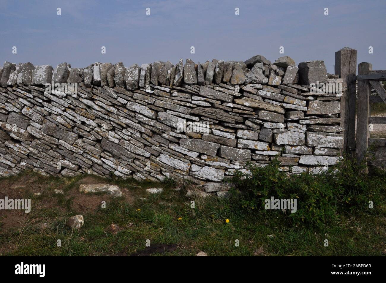 Trockenmauer, Feldgrenze in Purbeck Dorset UK. geneigt Kalkstein Kurse in Gateway auf eine horizontale, Sedimentgestein, vertikale Begrenzung sto Stockfoto