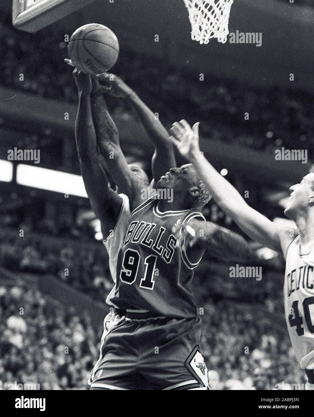 Chicago Bulls Dennis Rodman streifen die Kugel weg von Boston Celtics Antoine Walker, Celtics #40 Travis Ritter (rechts) während der Basketball spiel action im Fleet Center in Boston, Ma USA 1997-1998 Saison Foto von Bill belknap Stockfoto