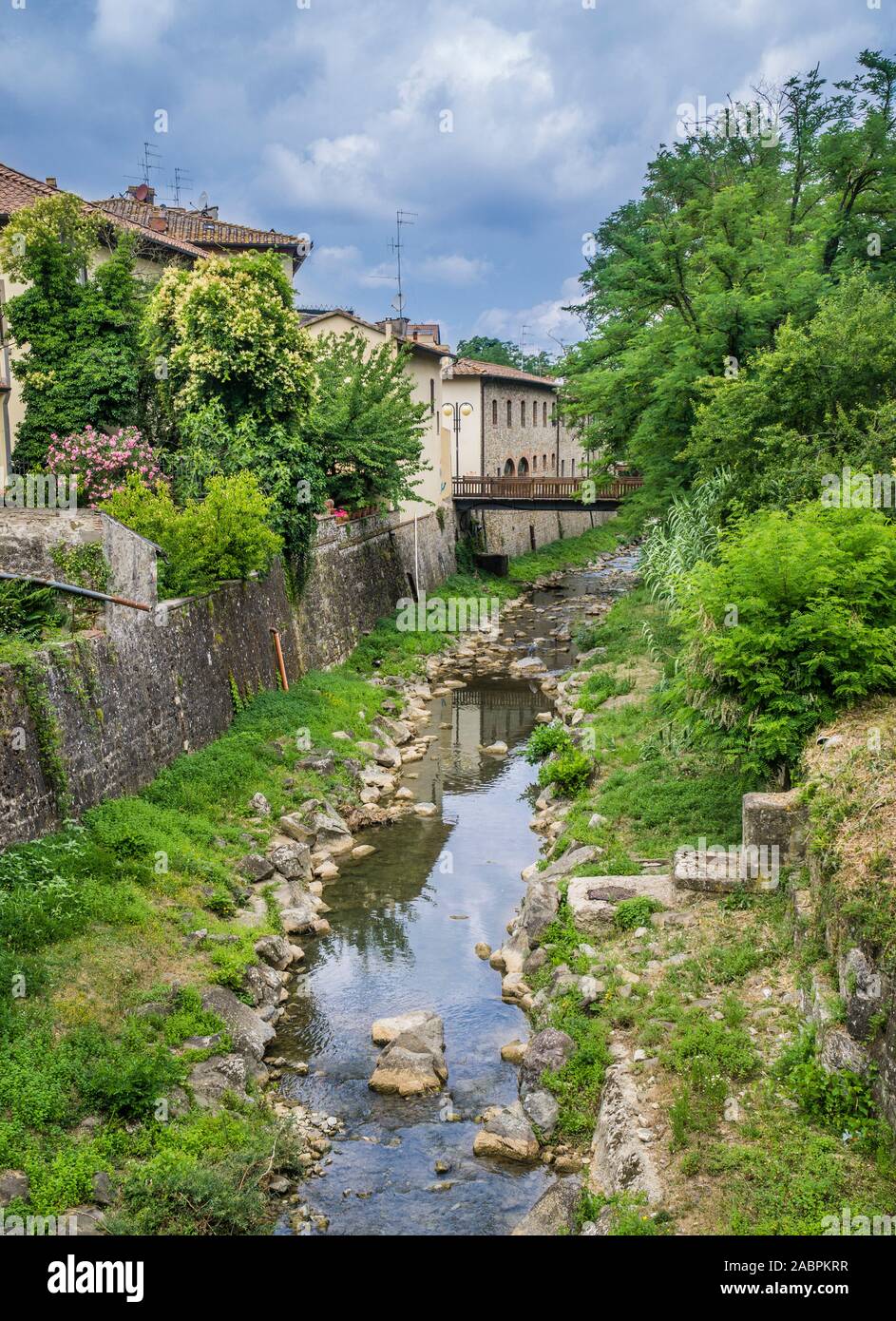 Greve Fluss in Greve in Chianti, Provinz Siena, Toskana, Italien Stockfoto
