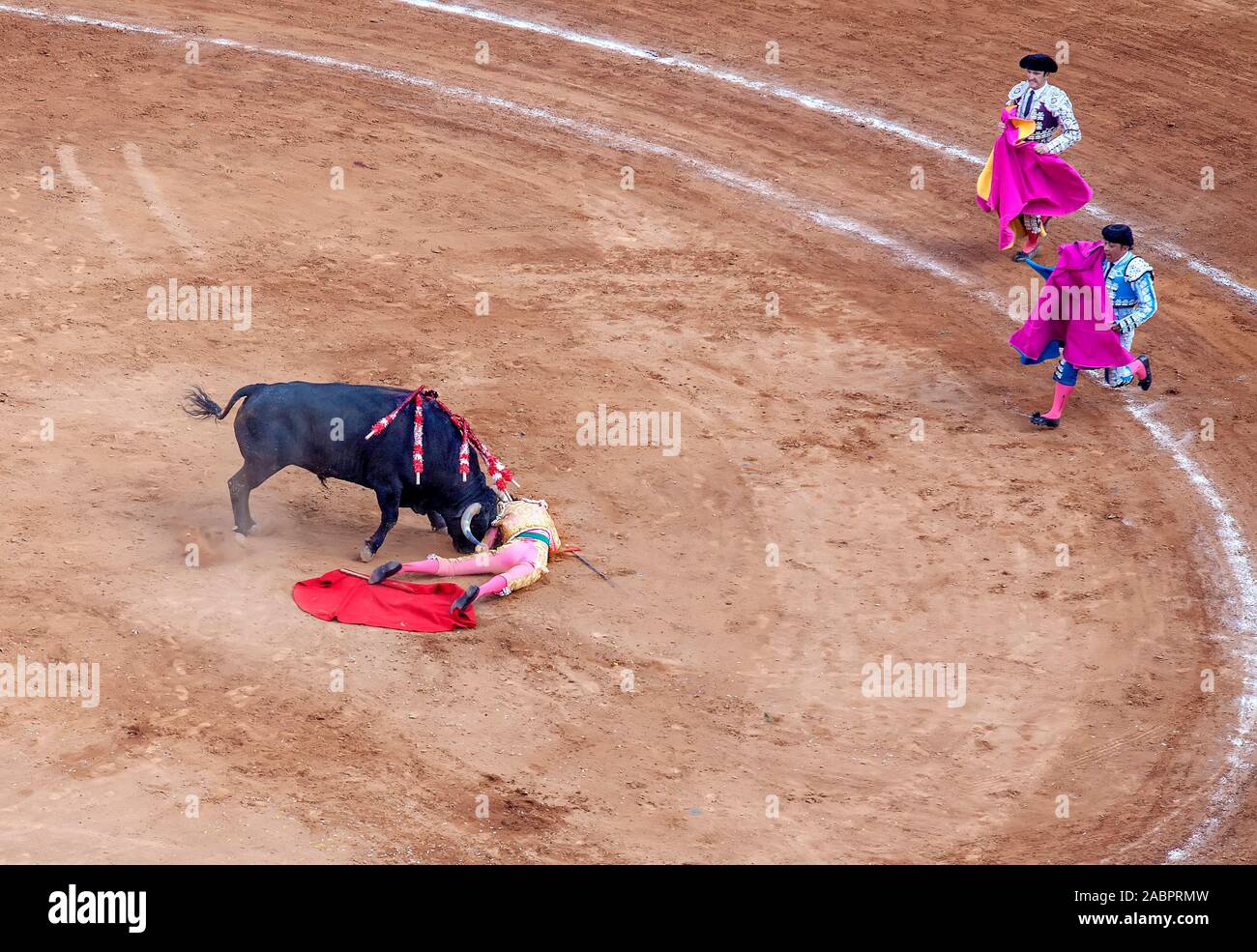 Stierkämpfer wird in Plaza Mexico Stierkampfarena, Mexiko-Stadt, Mexiko, gegutet Stockfoto