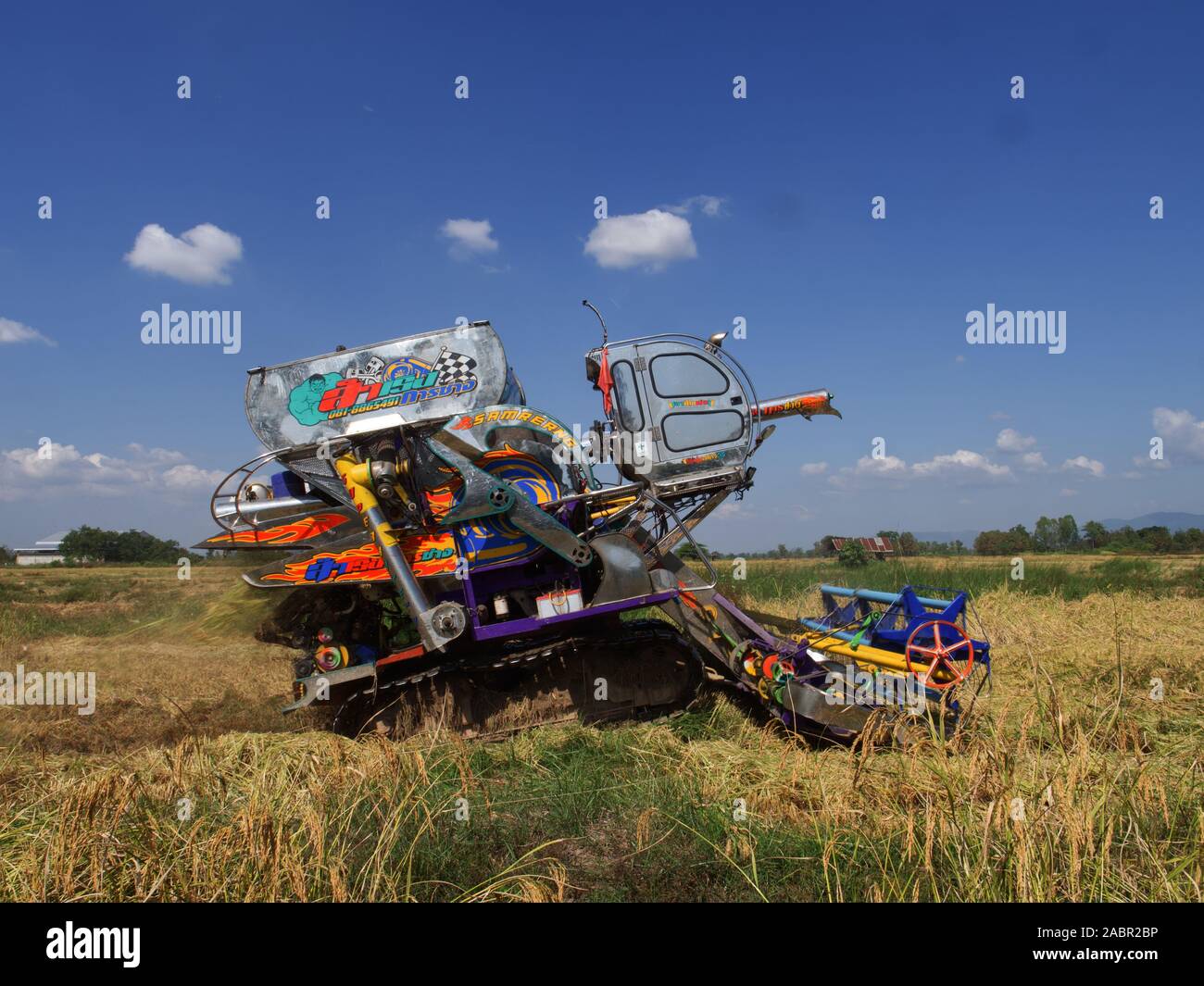 Reifen Reis Feld ist die Ernte von Maschine im Norden von Thailand Stockfoto