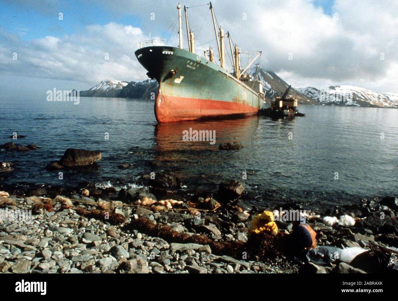 Dutch Harbor, AK (Feb. 27) - Öl wird von Dutch Harbor Beach nach Schiff Schlucken gereinigt Küste gestrandet. Stockfoto