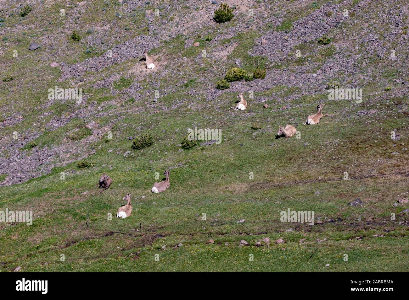 Bilder, Wandern, Felsen, Landschaften, kühl Stockfoto