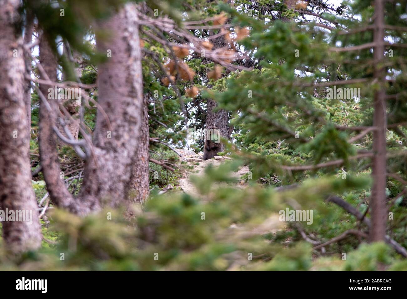 Bilder, Wandern, Felsen, Landschaften, kühl Stockfoto