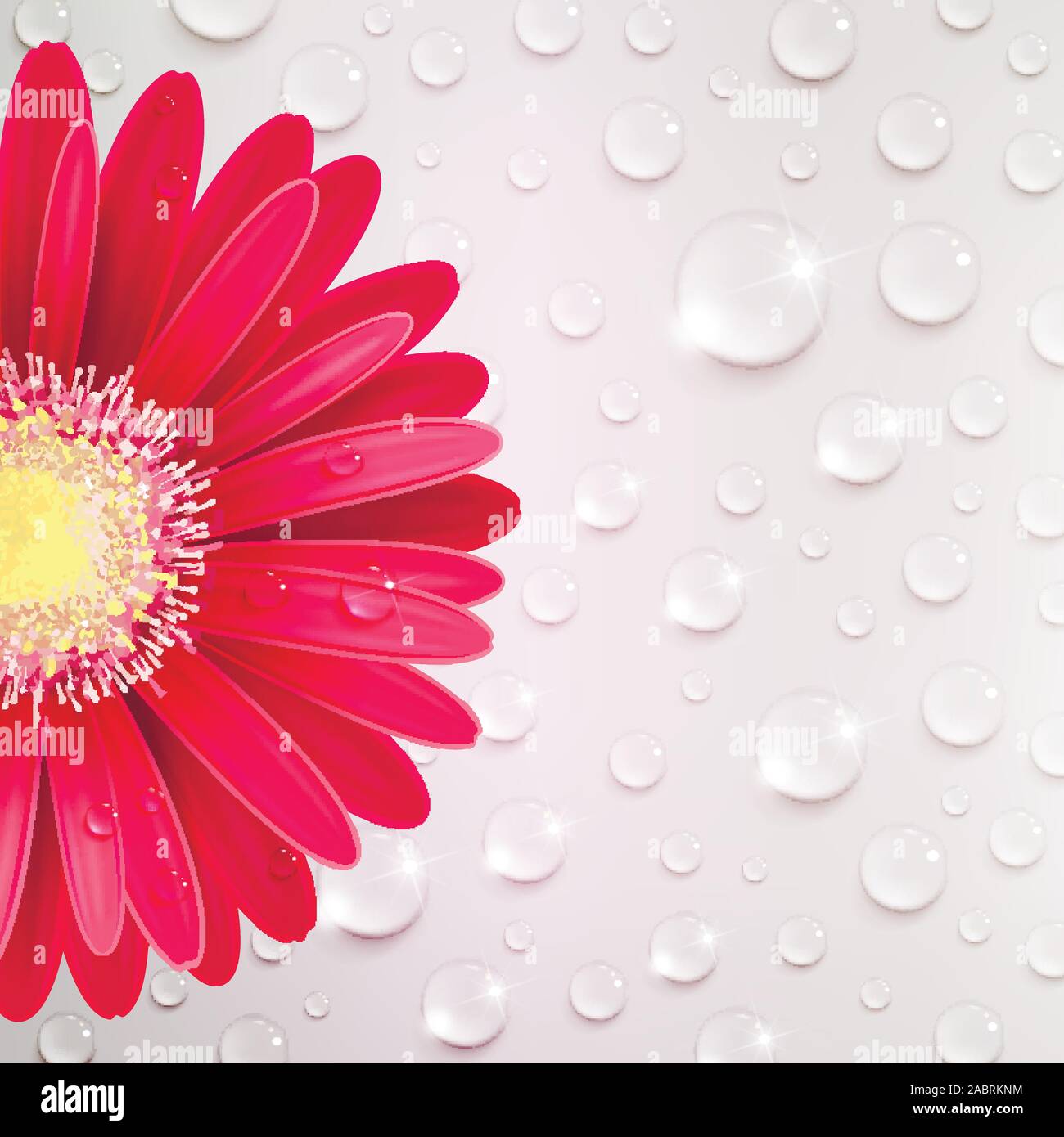 Rote gerbera Blume auf einem Hintergrund von Wassertropfen Stock Vektor