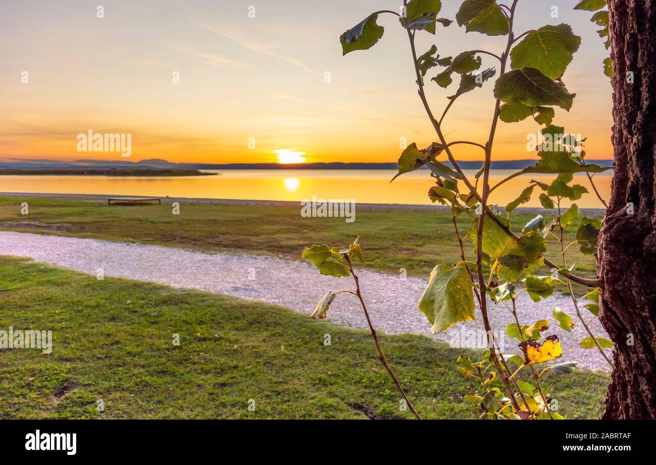 Sonnenuntergang, Landschaft am Neusiedler See in Podersdorf am See im Burgenland in Österreich Stockfoto