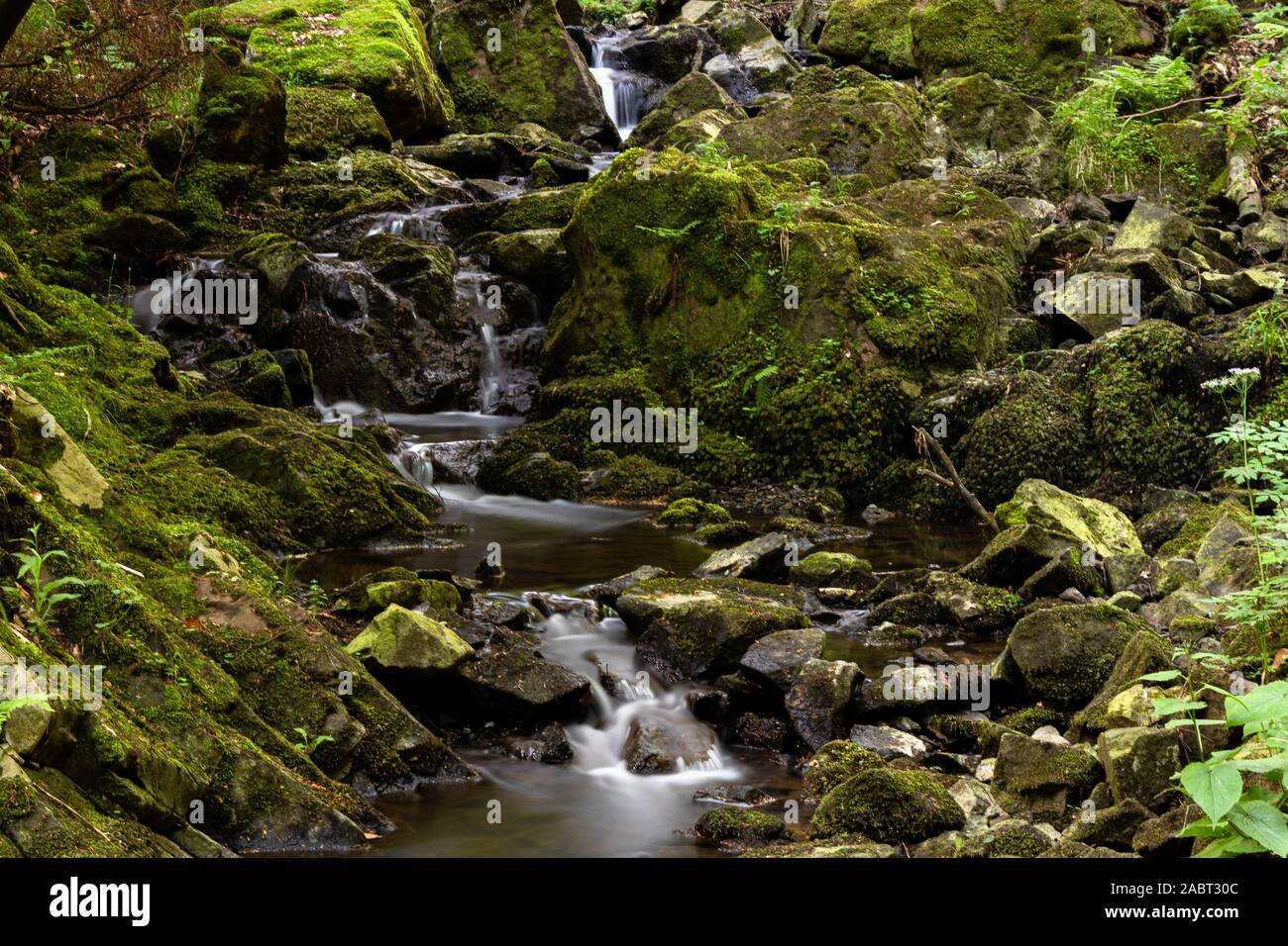 Kleiner Bachlauf im Harz, Langzeitbelichtung Stockfoto