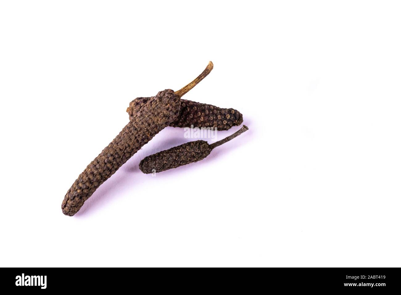 Drei Braun langer Pfeffer pipali auf weißem Hintergrund. Kräutermedizin Konzept Stockfoto