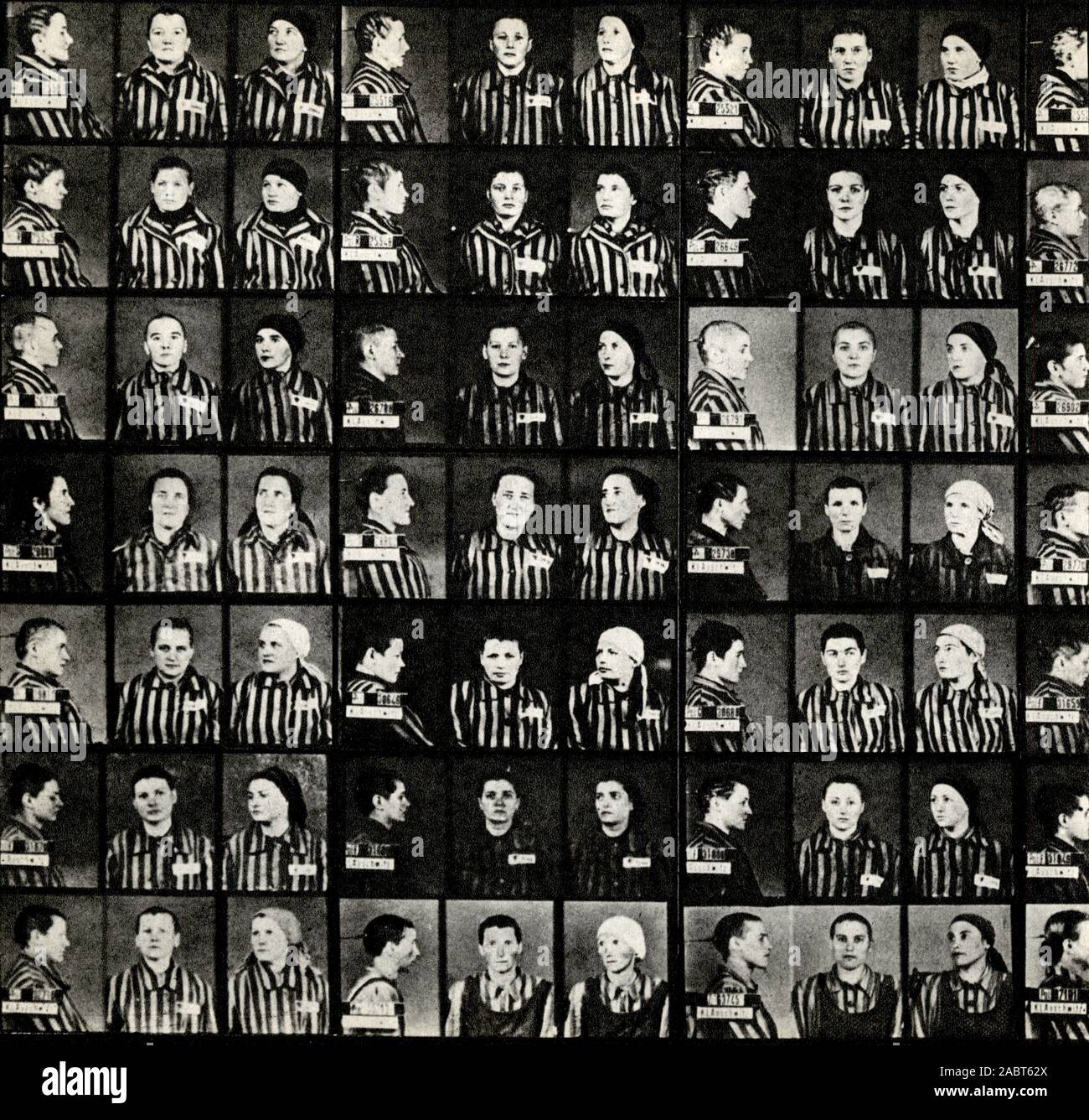 Fotos der Opfer von Völkermord in Auschwitz-Birkenau Stockfoto