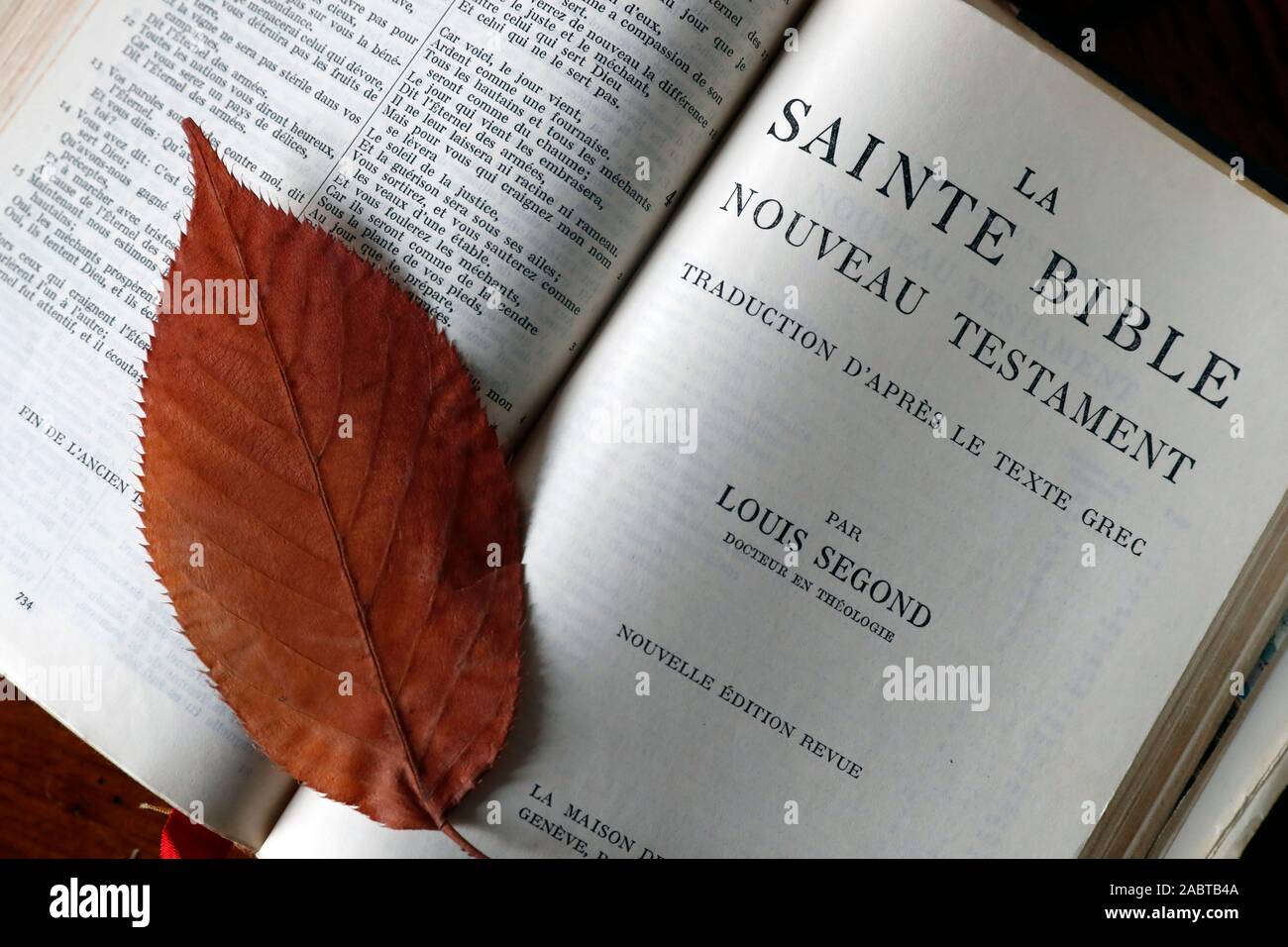 Alte Bibel mit einem trockenen Blatt öffnen. Frankreich. Stockfoto