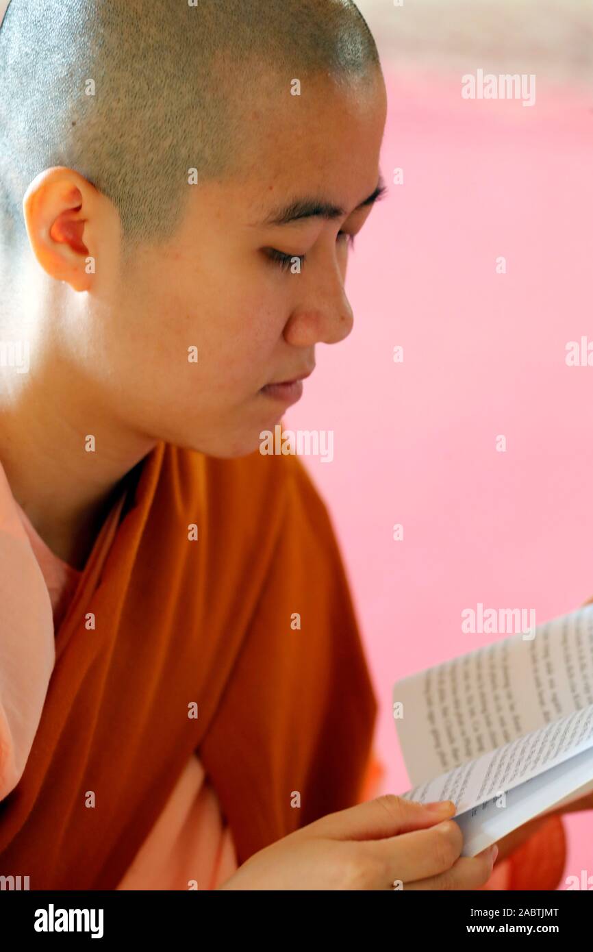 Lesen einer buddhistischen Nonne Buch in der Pagode. Hoi An. Vietnam. Stockfoto
