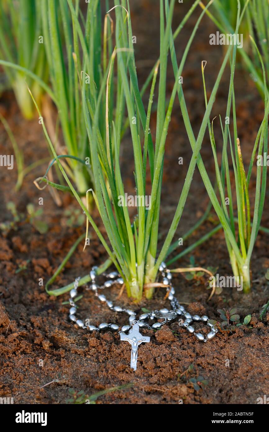 Rosenkranz oder Gebet Perlen mit einem Jungen zu schießen. Stockfoto