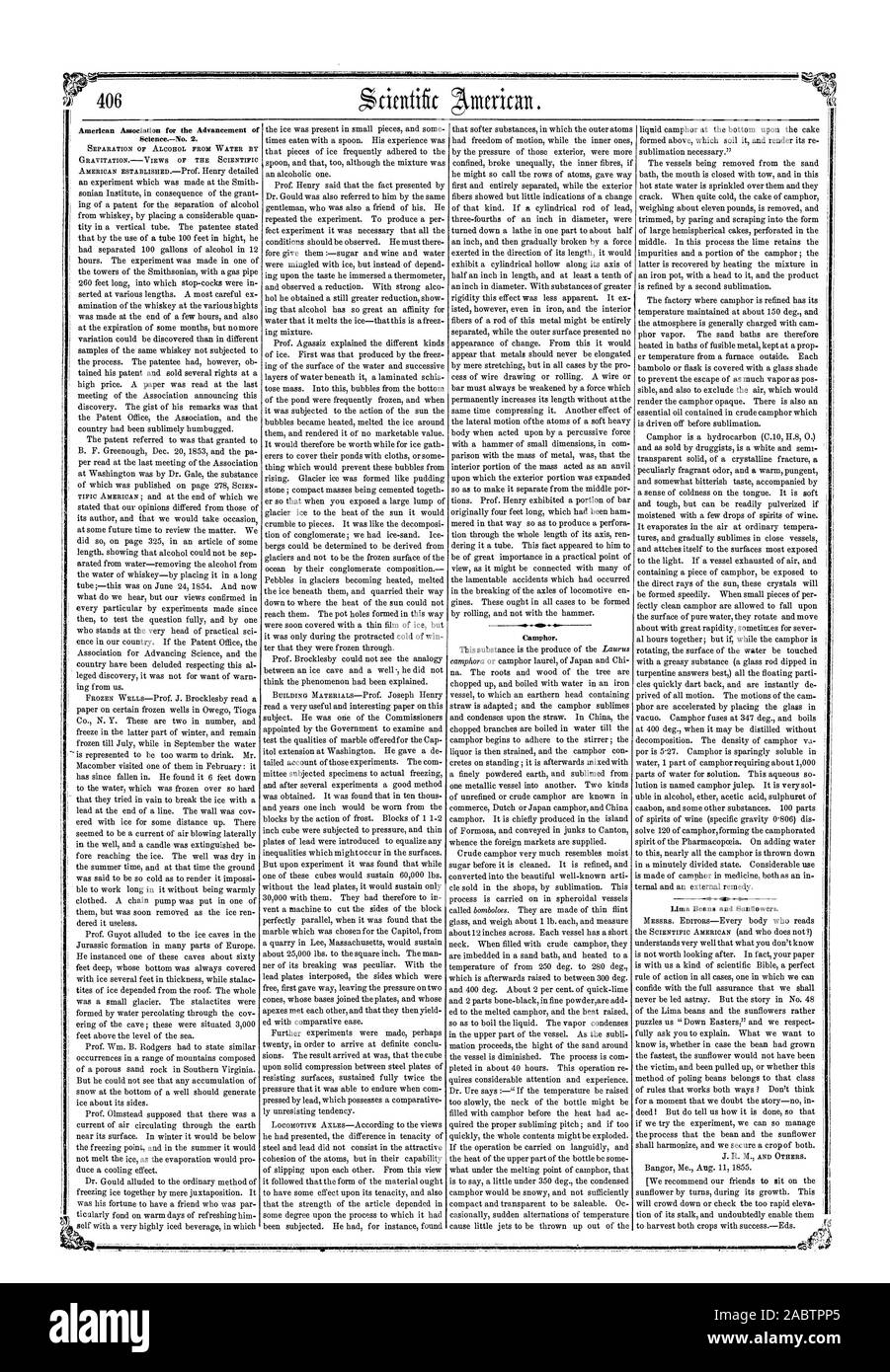 Amerikanischer Verband für die Förderung von ScienceNo. 2. Kampfer. Lima Bohnen und Sonnenblumen., Scientific American, 1855-09-01 Stockfoto