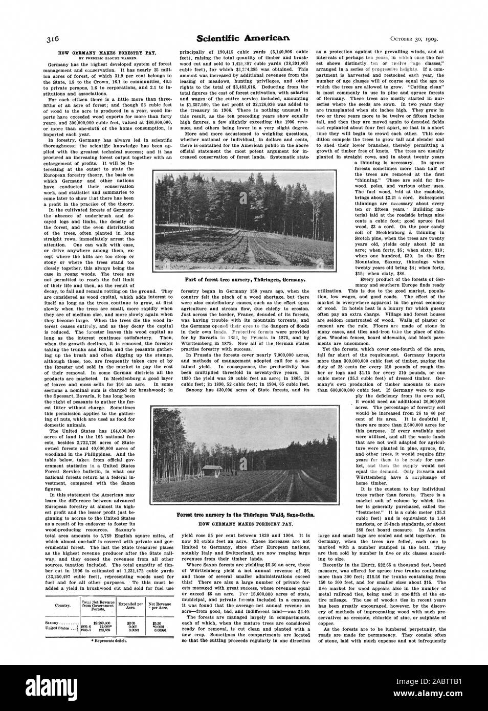 Von FREDERIC BLOUNT WARREN. Wald Baumschule in dem Thüringer Wald Sae-Gotha. Teil von Wald Baumschule Thüringen Deutschland., Scientific American, -1909-10-30 Stockfoto
