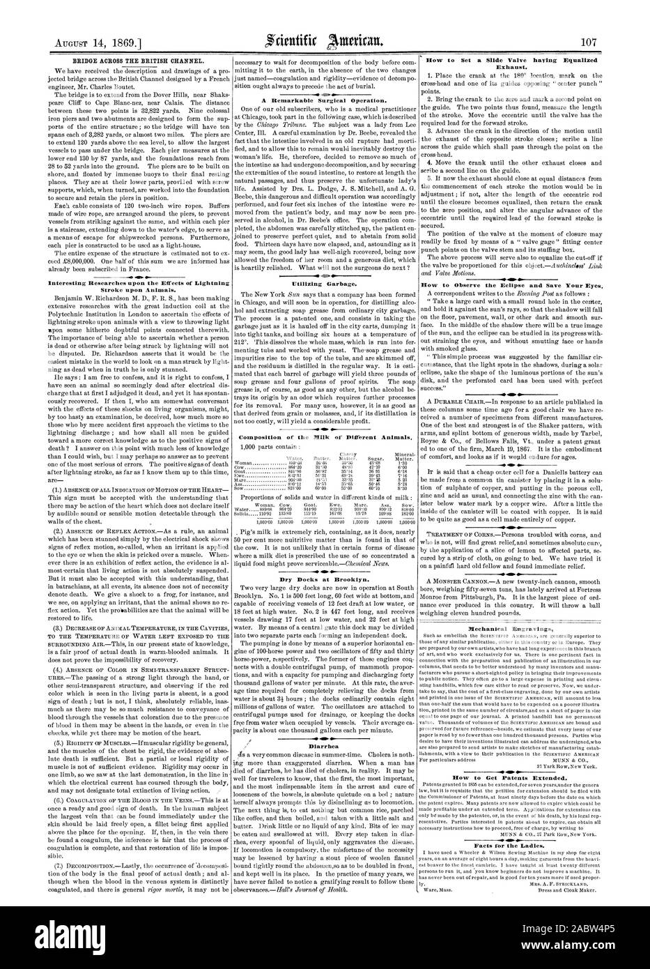 Brücke über den englischen Kanal. Interessante Forschungen über die Auswirkungen von Blitzschlag auf Tiere. Eine bemerkenswerte chirurgischen Operation. Nutzung von Müll. Zusammensetzung der Milch von verschiedenen Tieren. Trockendock am Brooklyn. Durchfall, wie man einen Schieber, der heuernte entzerrt Auspuff eingestellt. Wie die Eclipse und Speichern zu beobachten, ihre Augen. 4 P Mechanische Gravuren Wie man Patente erweitert. Fakten für die Damen., Scientific American, 1869-08-14 Stockfoto