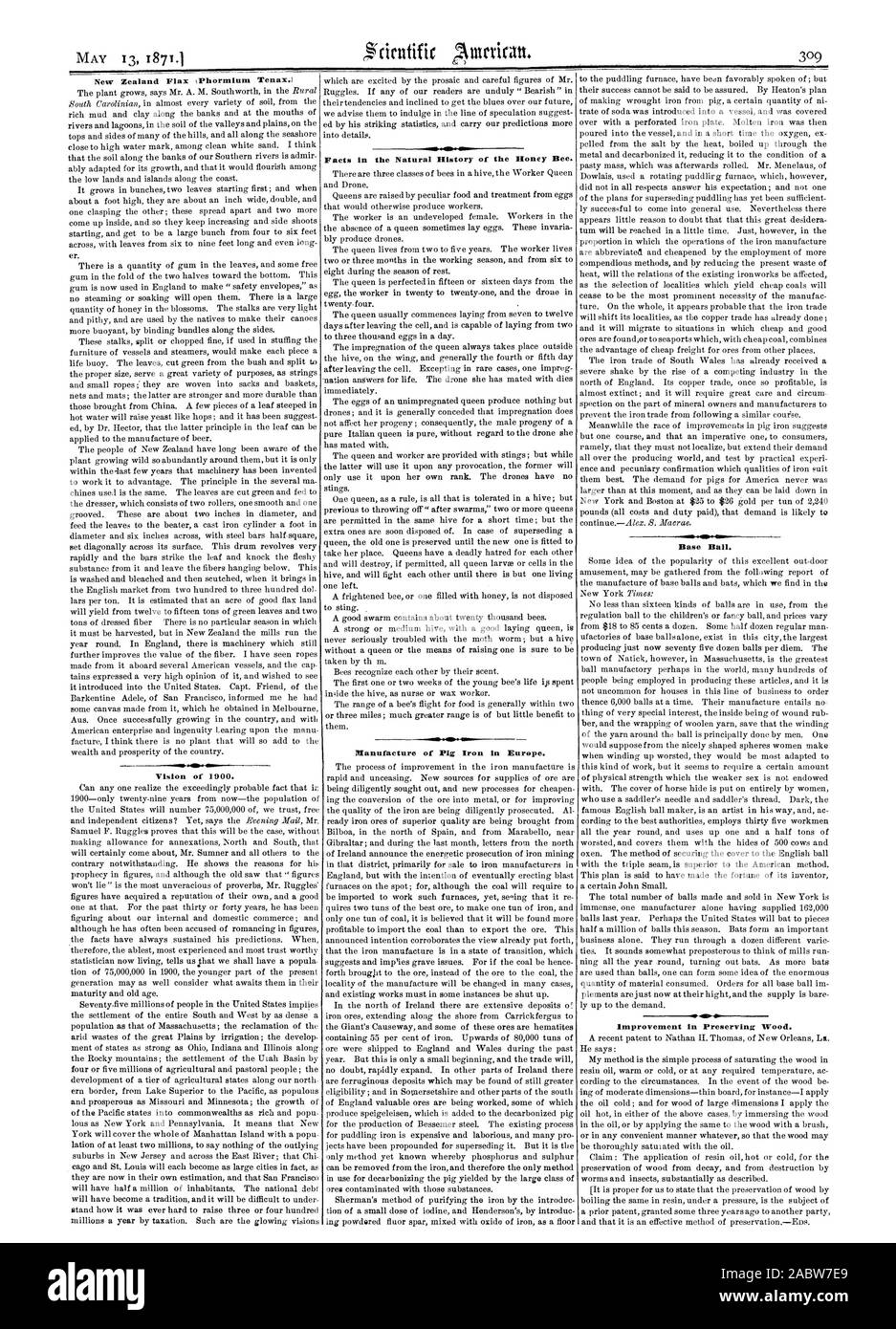 Neuseeland Flachs trhormium Tenax.) Vision von 1900. Tatsachen, die in der natürlichen Geschichte der Honigbiene. Herstellung von Roheisen in Europa. Base Ball. Verbesserung der Erhaltung Holz., Scientific American, 1871-05-13 Stockfoto