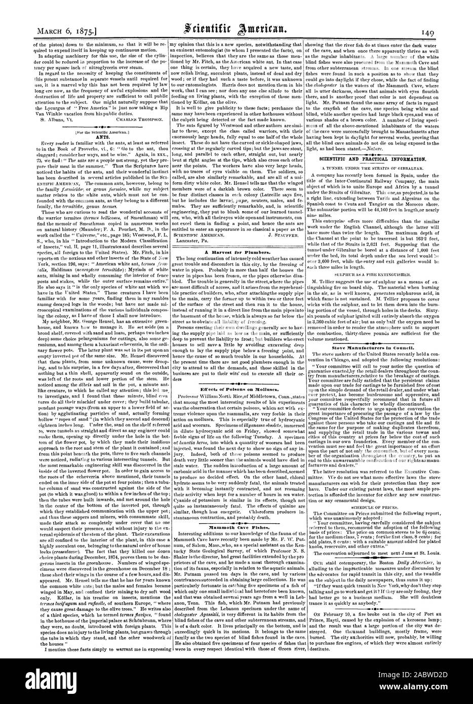 Ameisen. Praktische Herd Hersteller im Rat. 400 Auswirkungen von Giften auf Muscheln. Wissenschaftliche UND INFORMATIONEN., Scientific American, 1875-03-06 Stockfoto